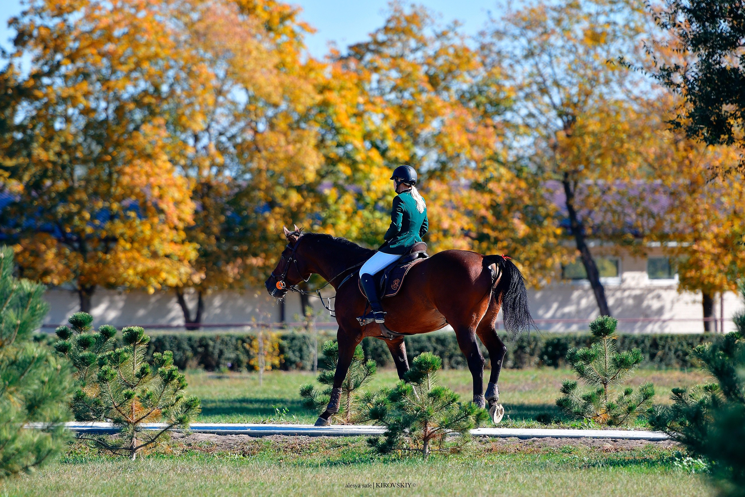 Кировский конный завод. Конный фотограф Alesya Safe