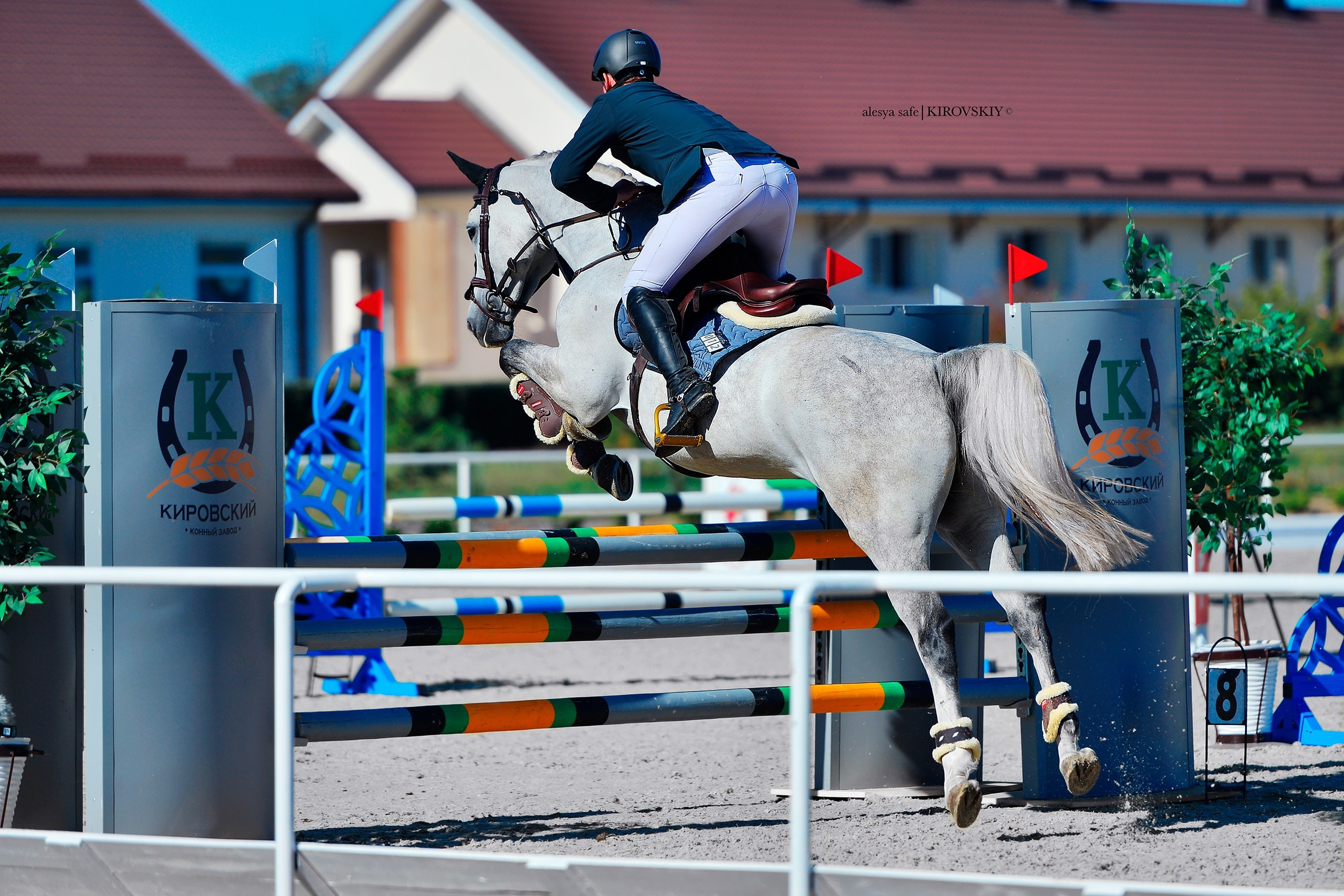 Кировский конный завод. Конный фотограф Alesya Safe
