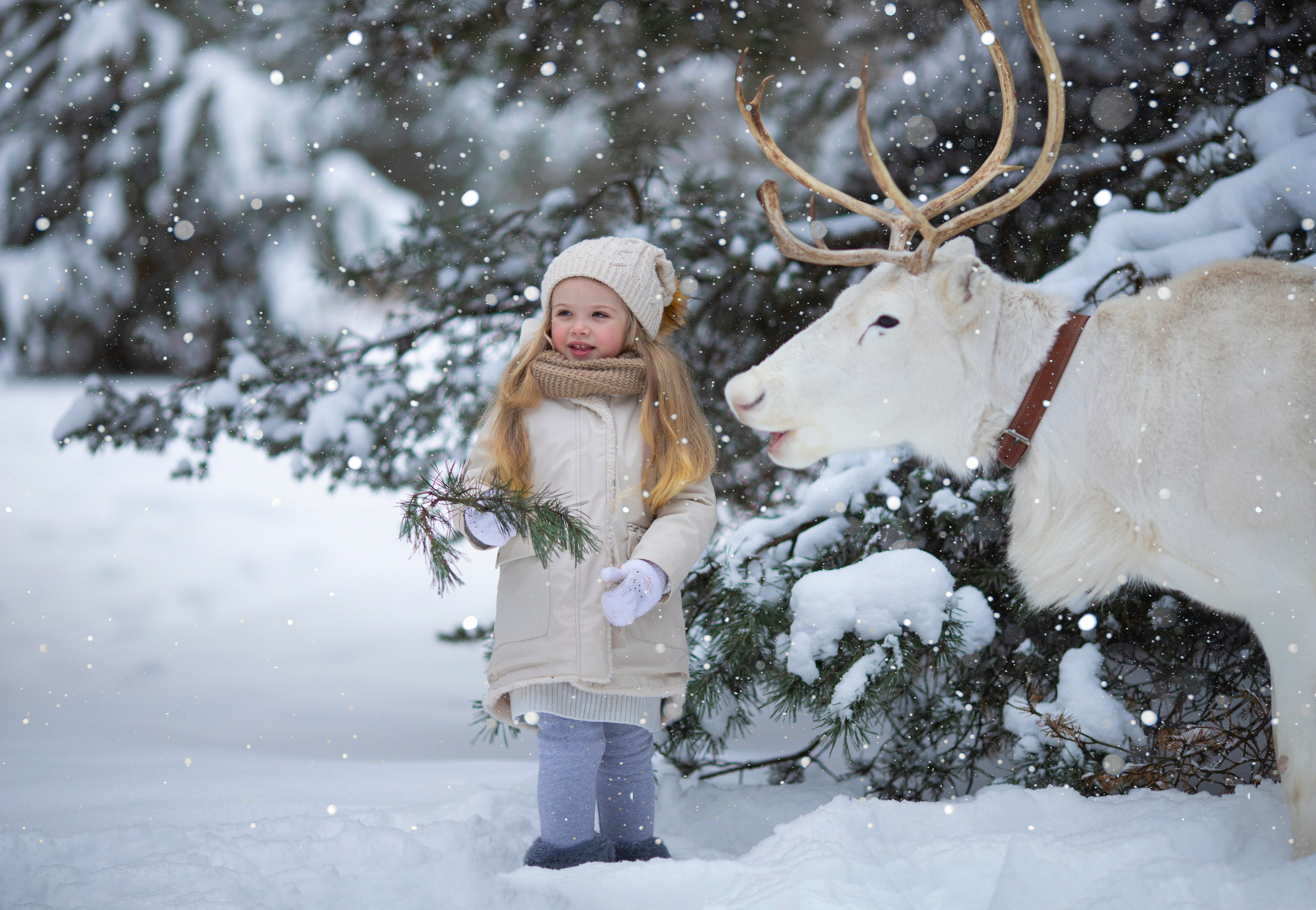 Зимние фотосессии с животными на улице. Фотопроекты, фотодни и фотосессии в Москве