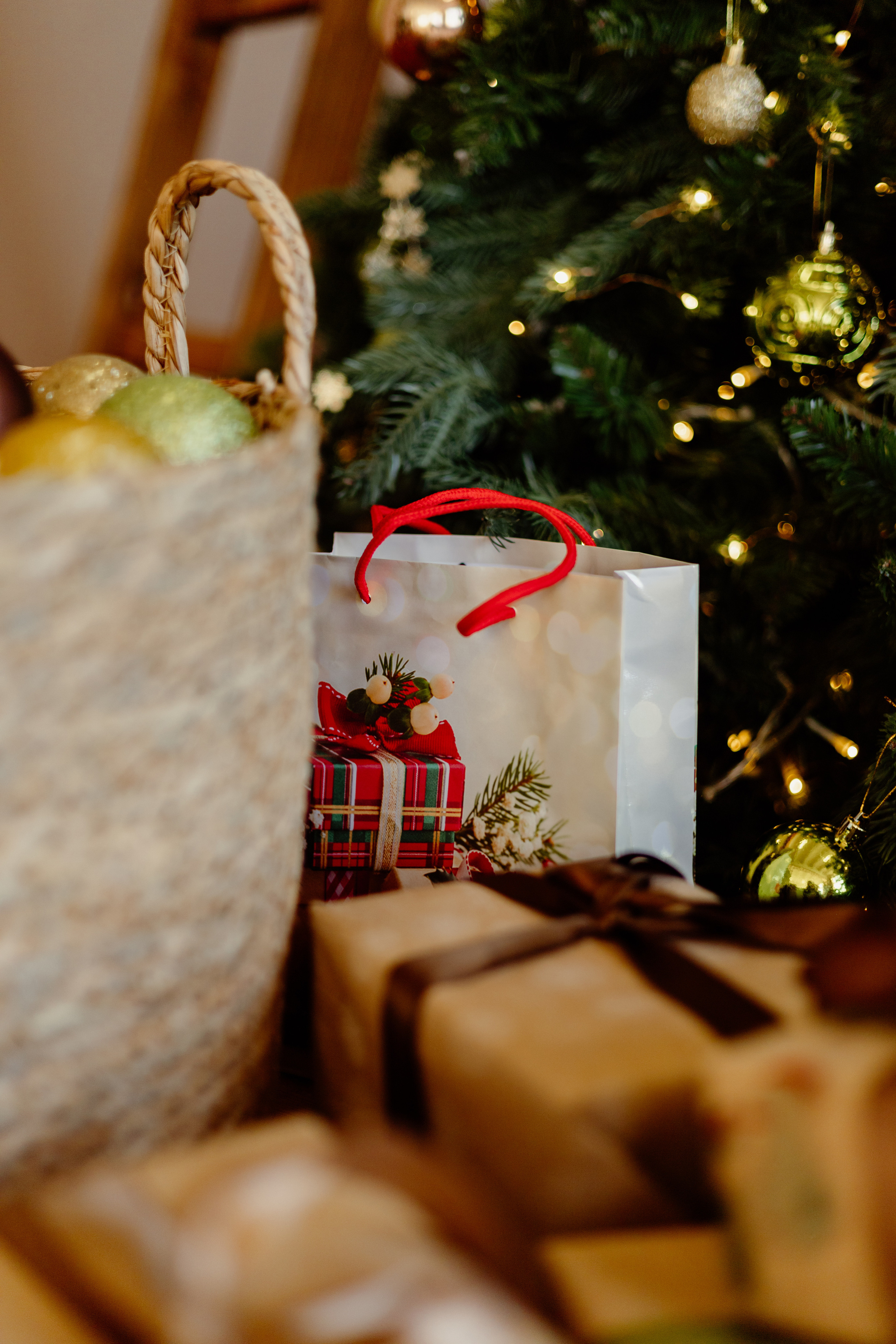 Фотограф биробиджан. Детский и семейный фотограф  Биробиджан Оля Светагор