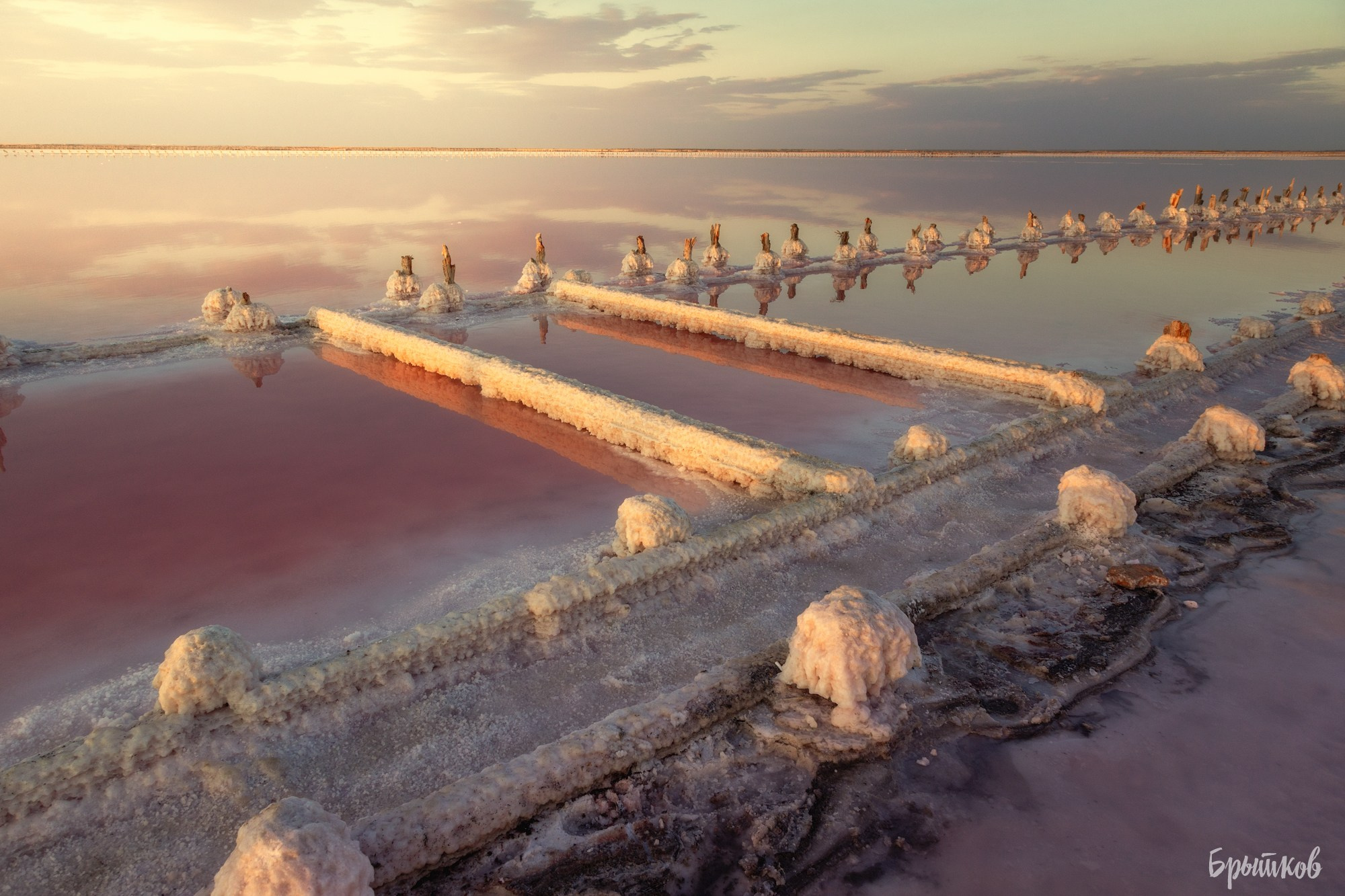 Оз. Сасык-Сиваш. Николай Брытков — фотограф в Туле