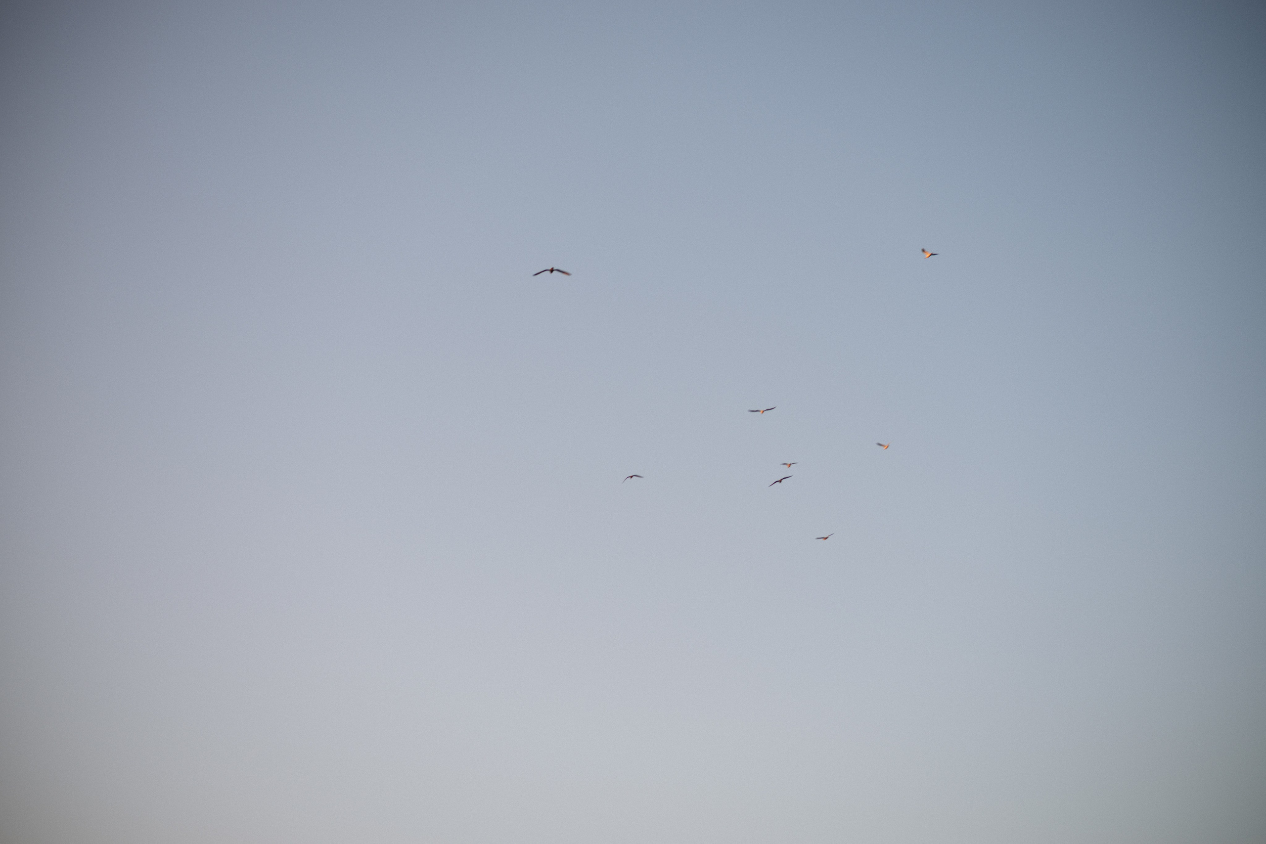 Август. Арбузы. Любовь. Свадебный и портретный фотограф в Брянске и Москве Алина Химушкина