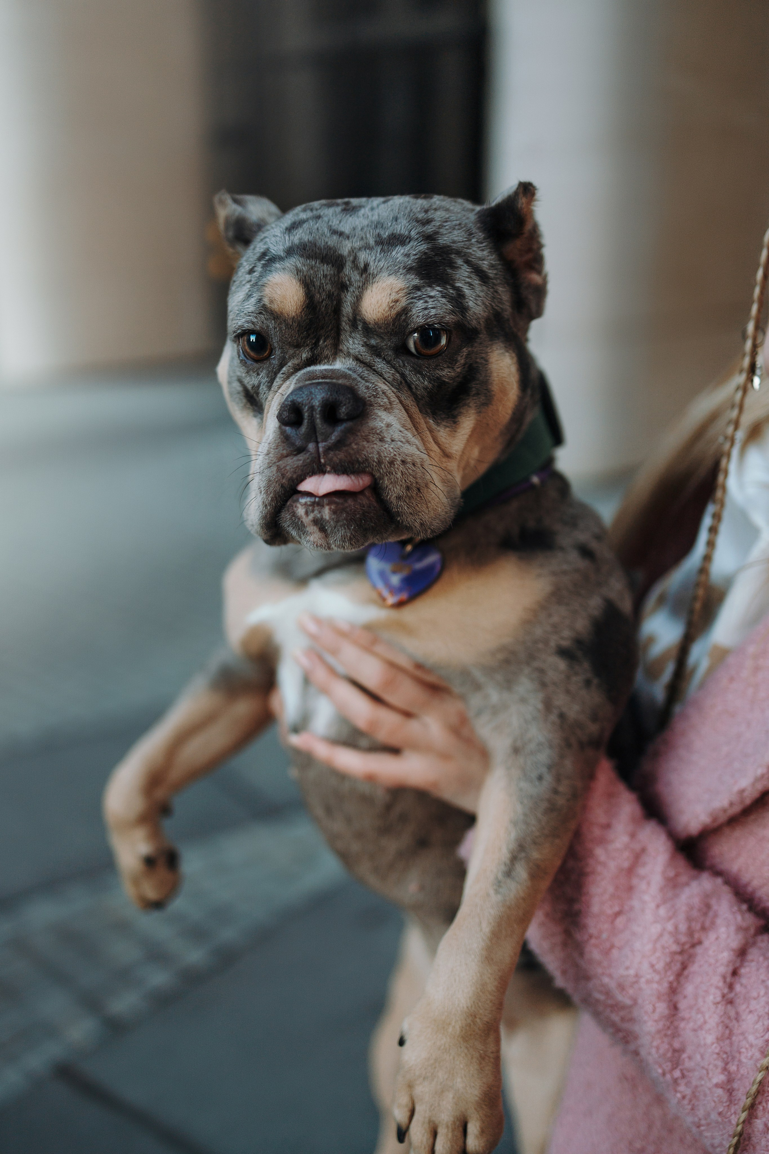 Лера и ее булочки. Фотограф — Анималист | Санкт-Петербург