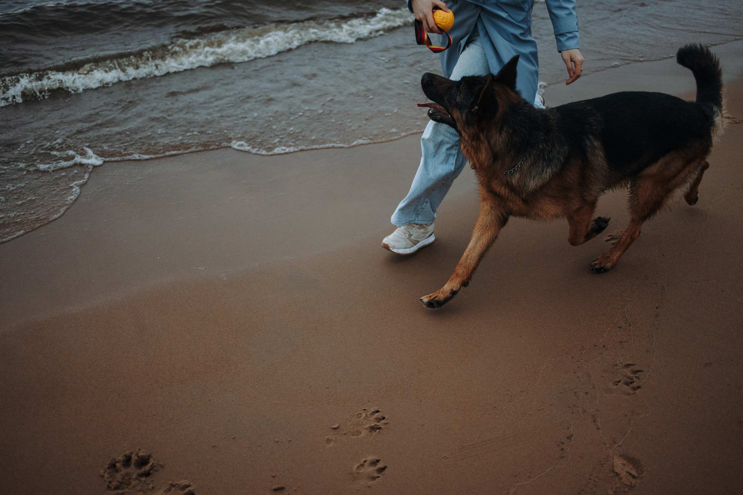 Катя и Агат. Фотограф — Анималист | Санкт-Петербург