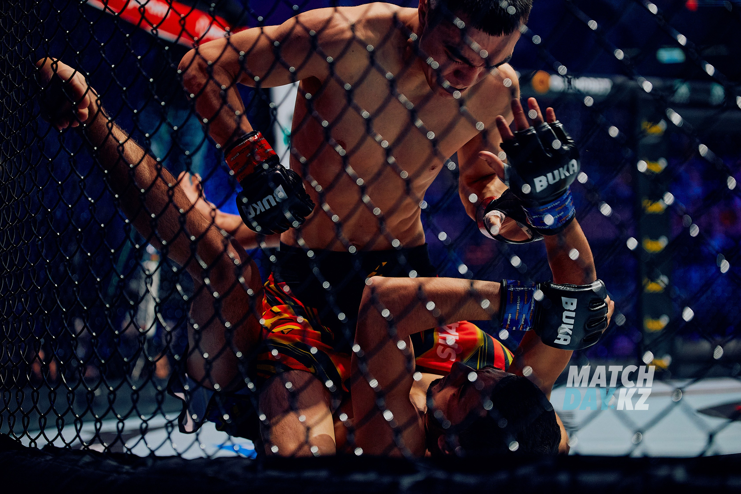 Naiza MMA (Astana) 6 December 2023. Professional photo & Event agency (Kazakhstan, Astana)