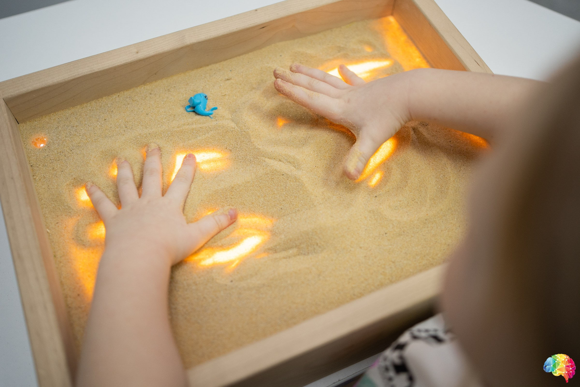 Центр развития интеллекта. Фотограф на любое событие в Кемерово