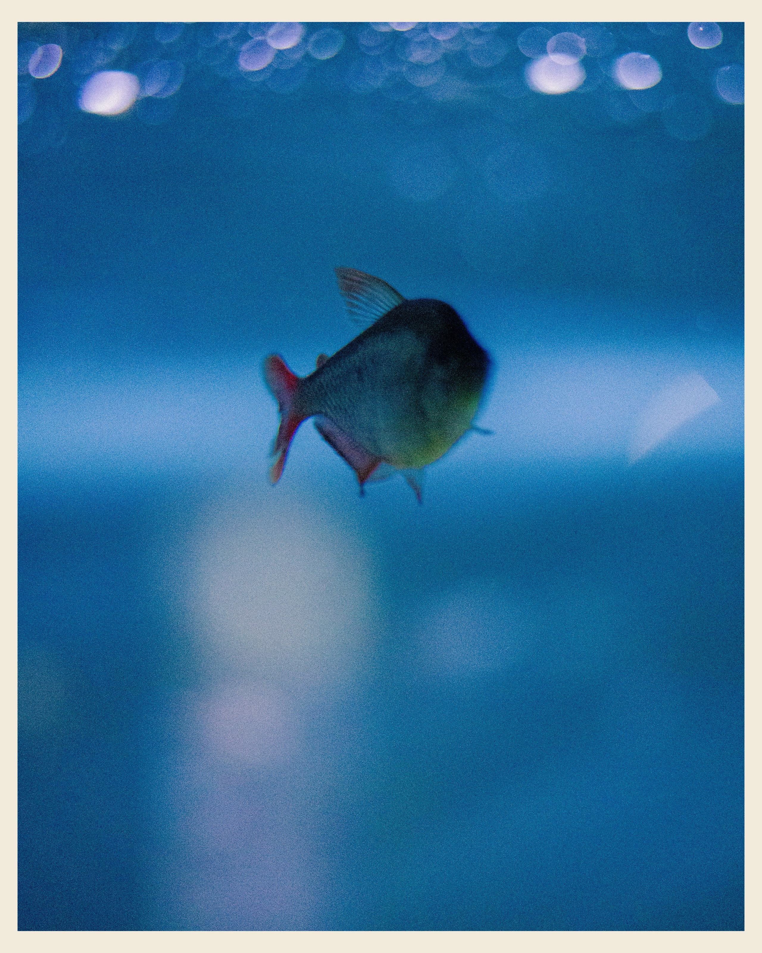 AILAND x VANO. Ivan Petrov photographer