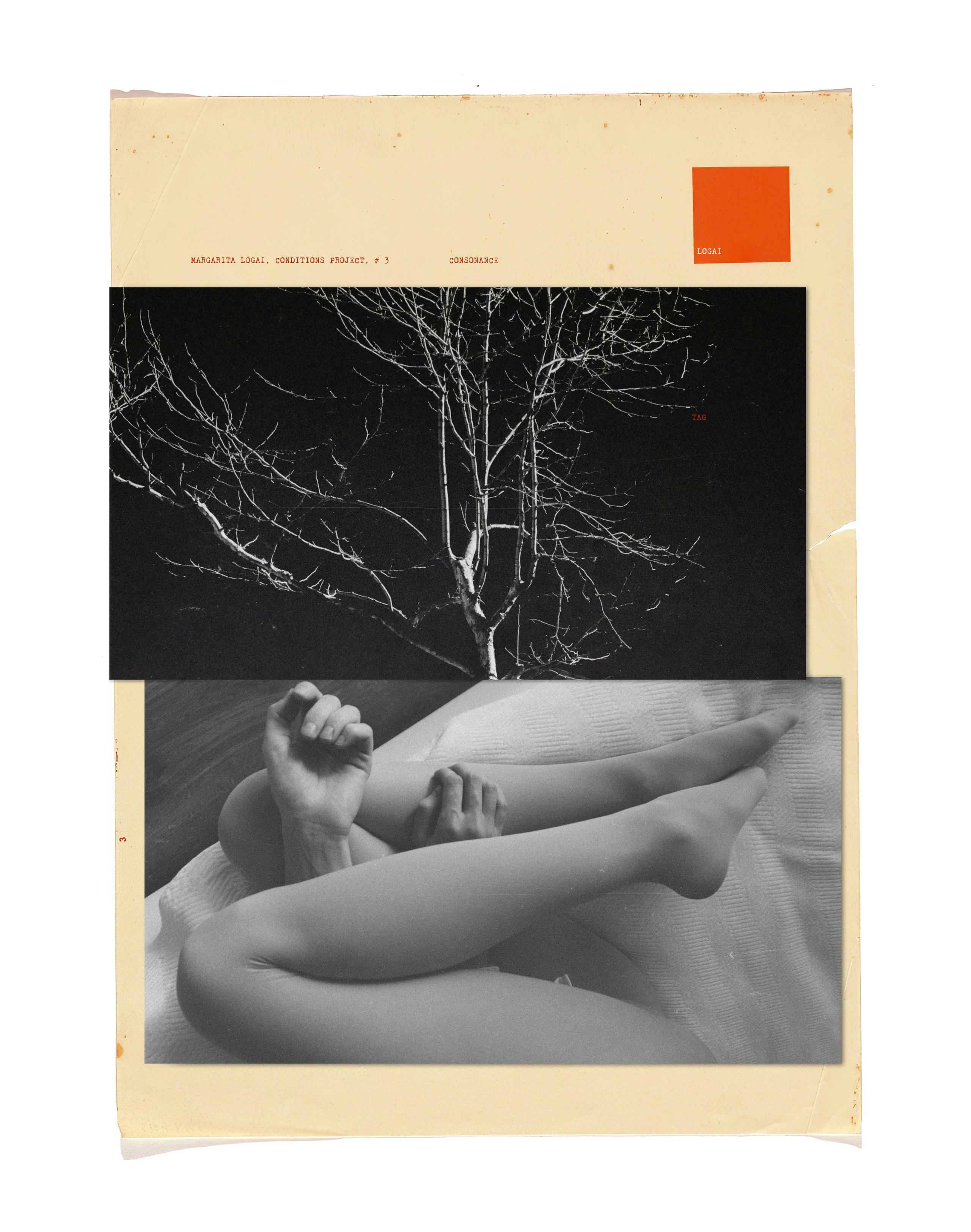 STATES. Маргарита Логай. Фотограф и режиссер в Санкт-Петербурге, Москве, Сочи