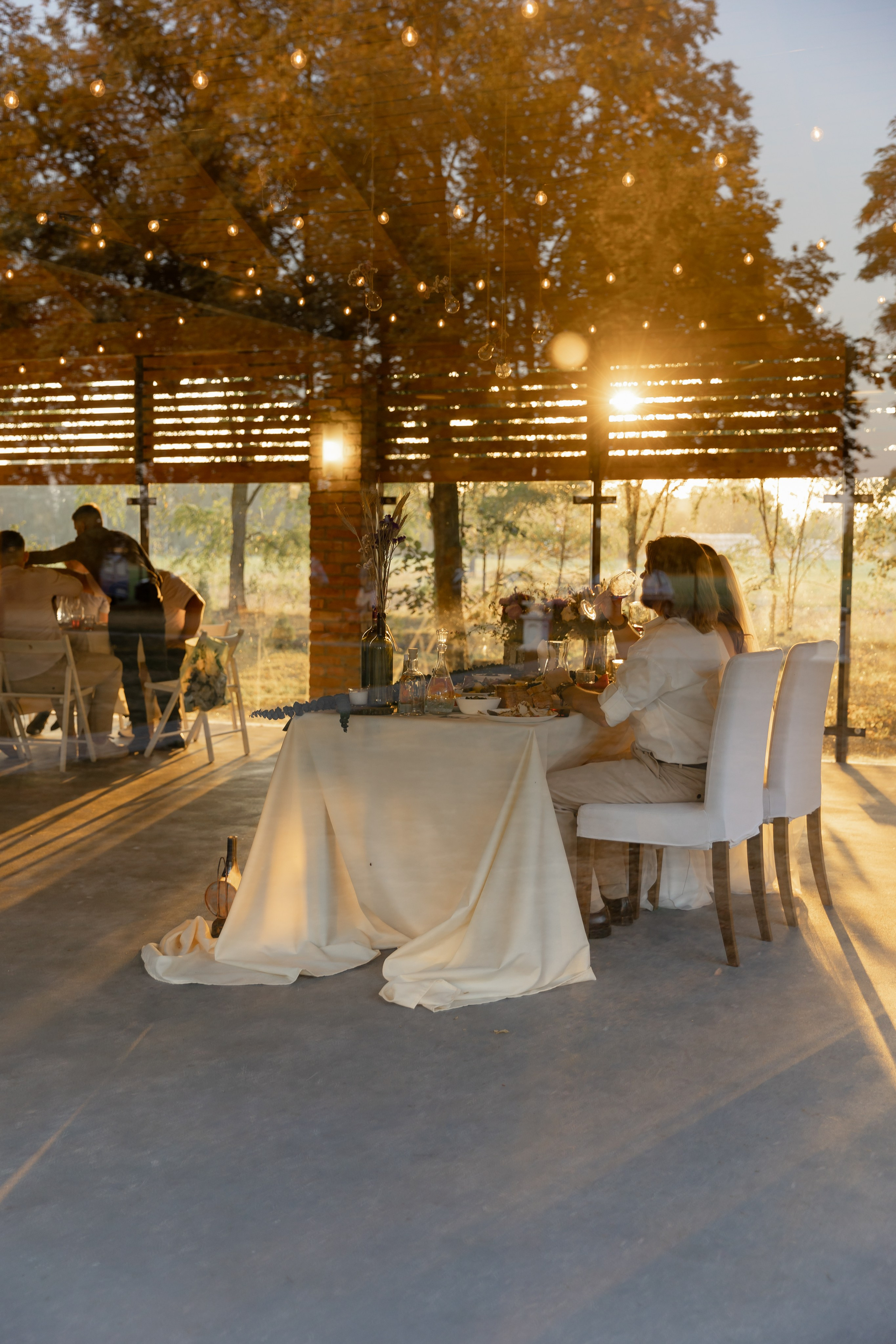 Виноградники. Dima Lemeshevsky