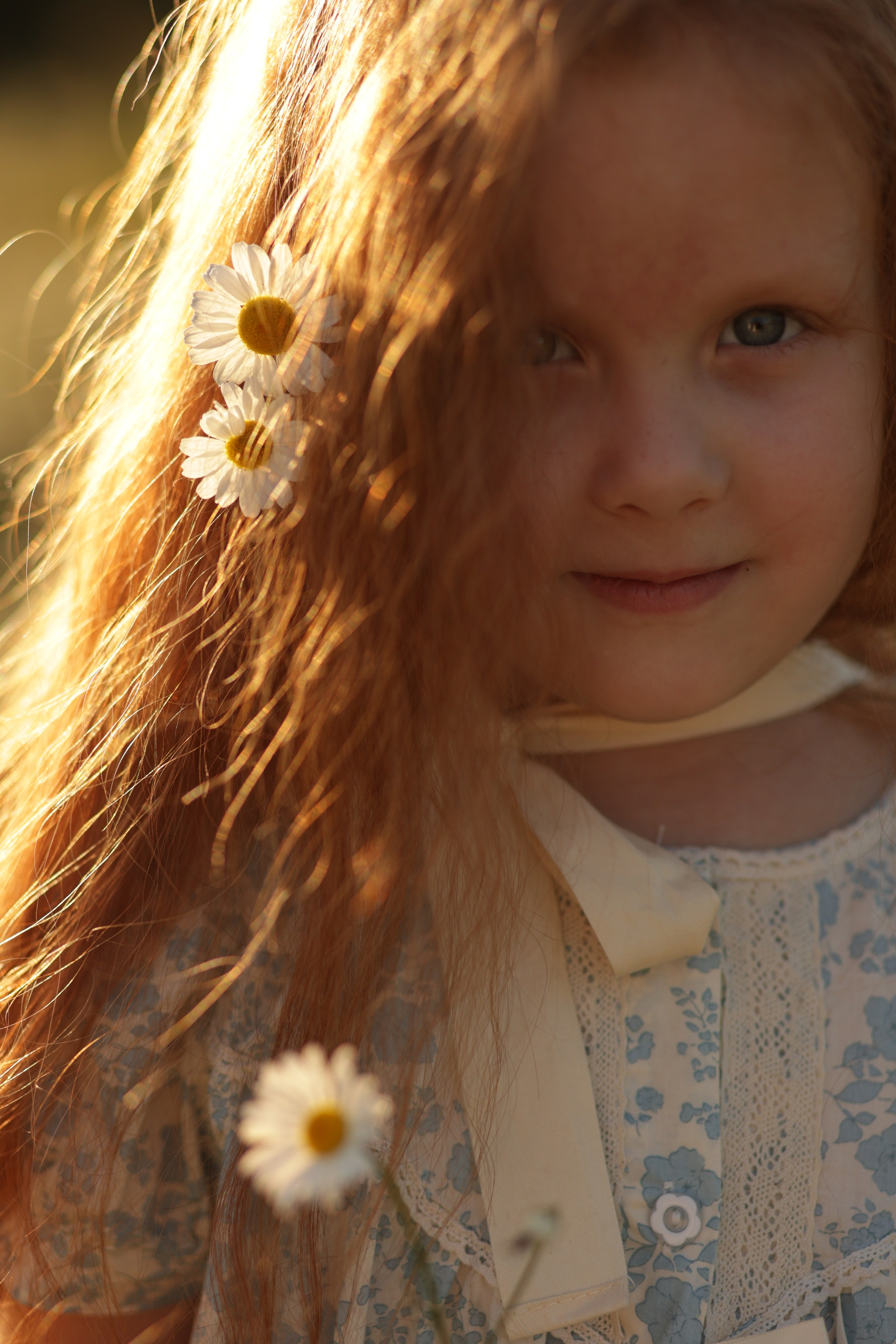 Девчонки в ромашках. Семейный фотограф в Саратове Юлия Охотникова