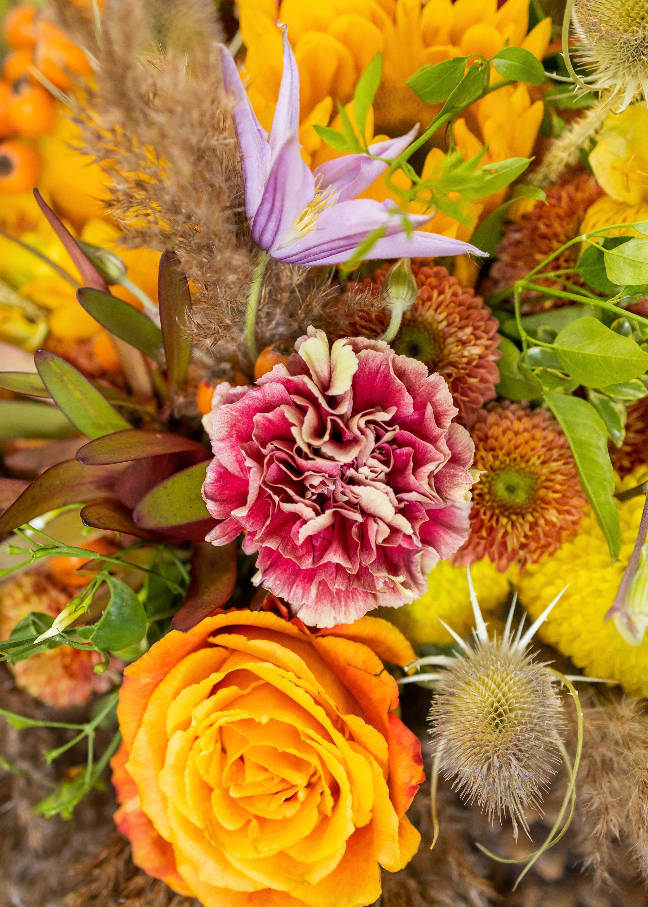 Цветы-Экспо 2024. Фотосессии и репортаж — Фотограф в Москве — Рина Серёгина