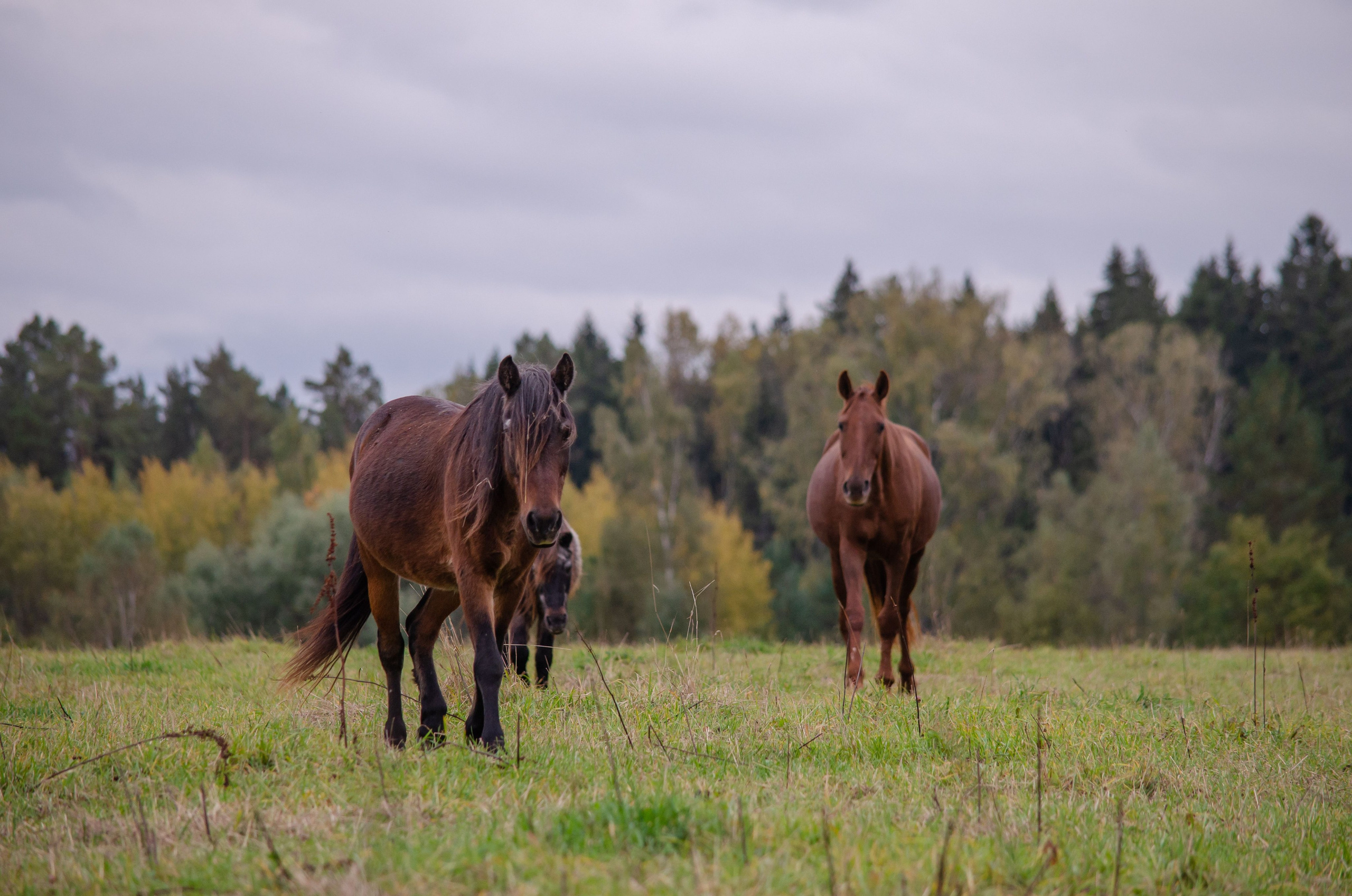 Контакты. Фотограф Светлана Блинова, Москва и Московская область