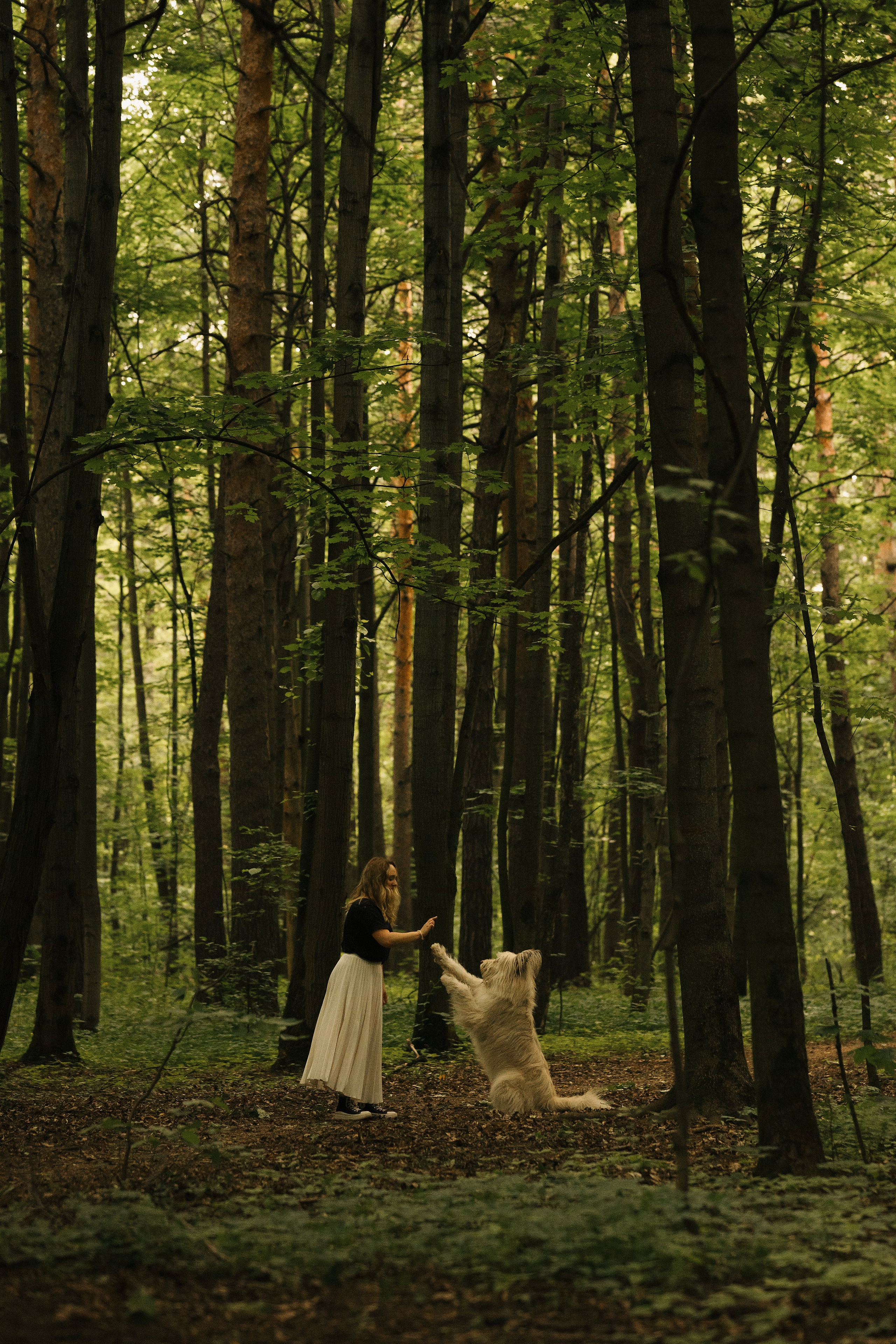 Акиро и Йоши. Фотограф- анималист Александра Матвеева