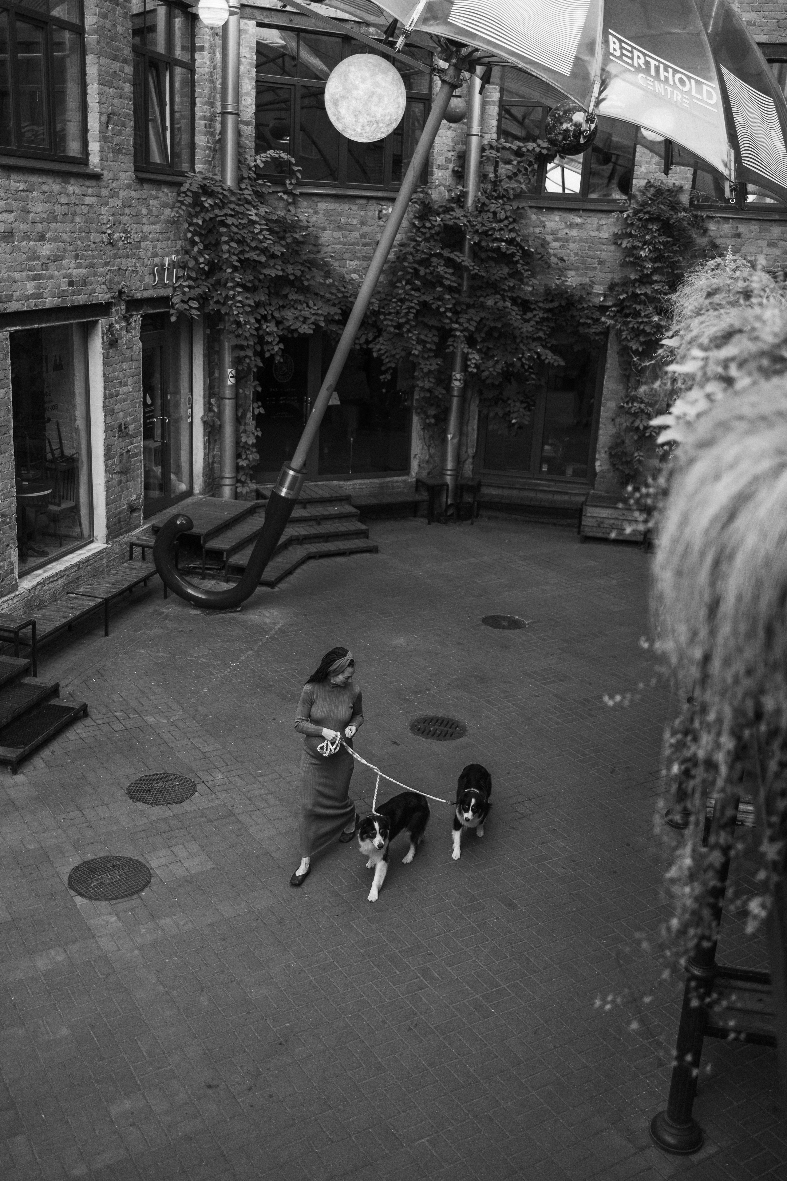 Катя и ее девочки. Фотограф — Анималист | Санкт-Петербург