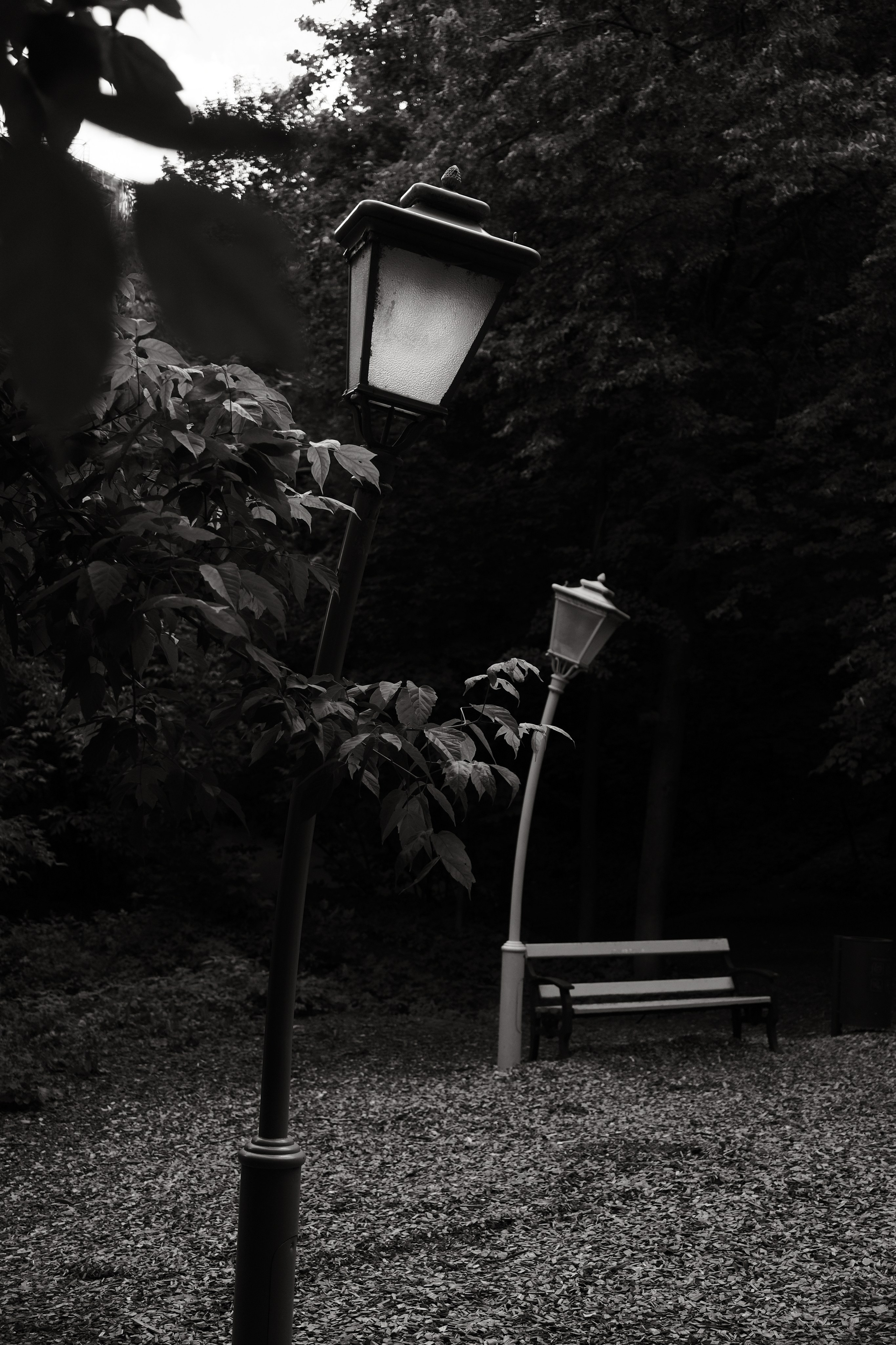 Прогулка по Воробьёвым горам. Фотограф Михаил Ерохин | Москва