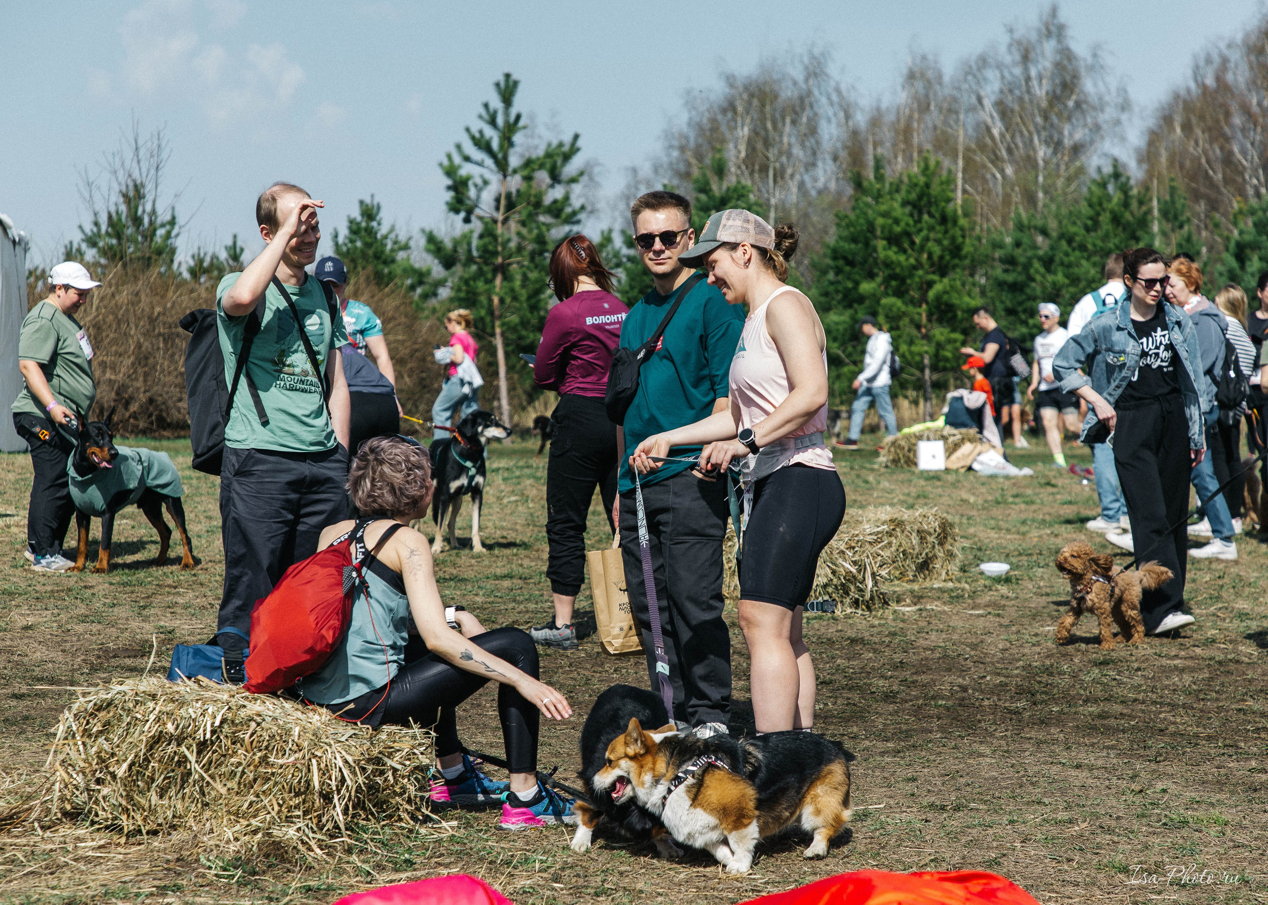 Кросс «Быстрый пёс» 2025. Репортажный фотограф в Москве