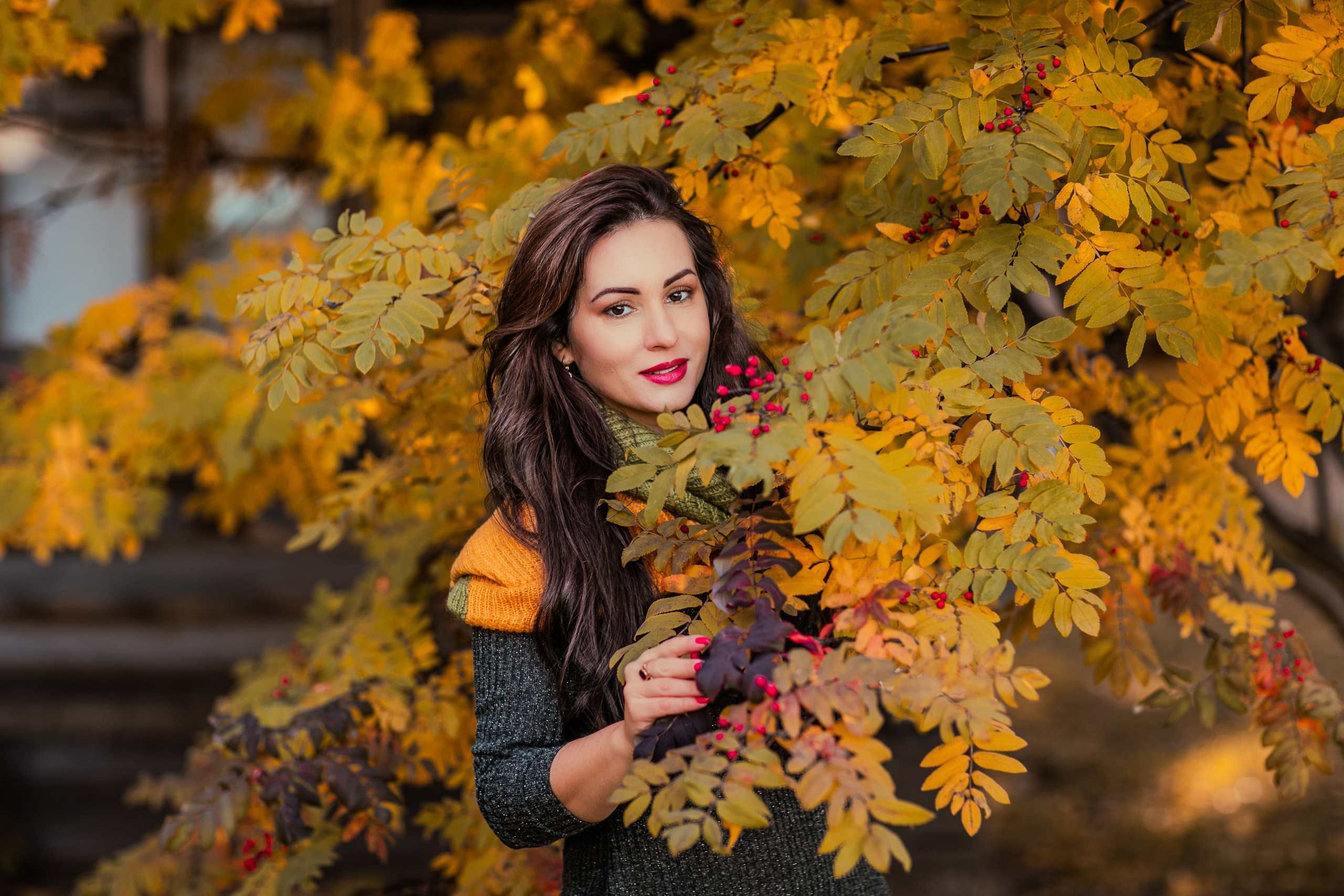 Багрец и золото. Фотограф Елена Вишневская (Ушакова) Нефтеюганск, Сургут, Тюмень