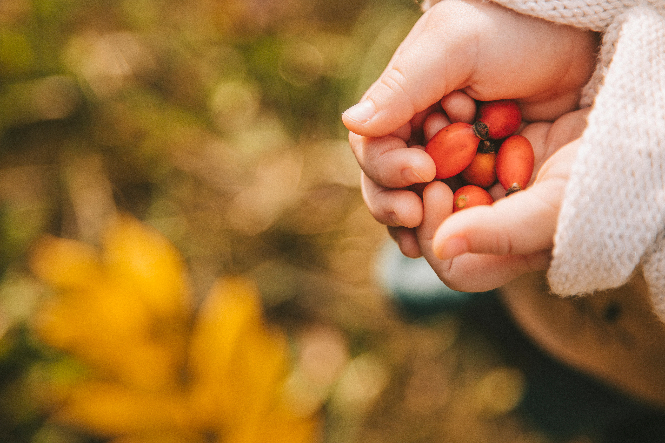 Семейная фотосессия на природе. Семейный фотограф в Краснодаре Коломыцева Евгения