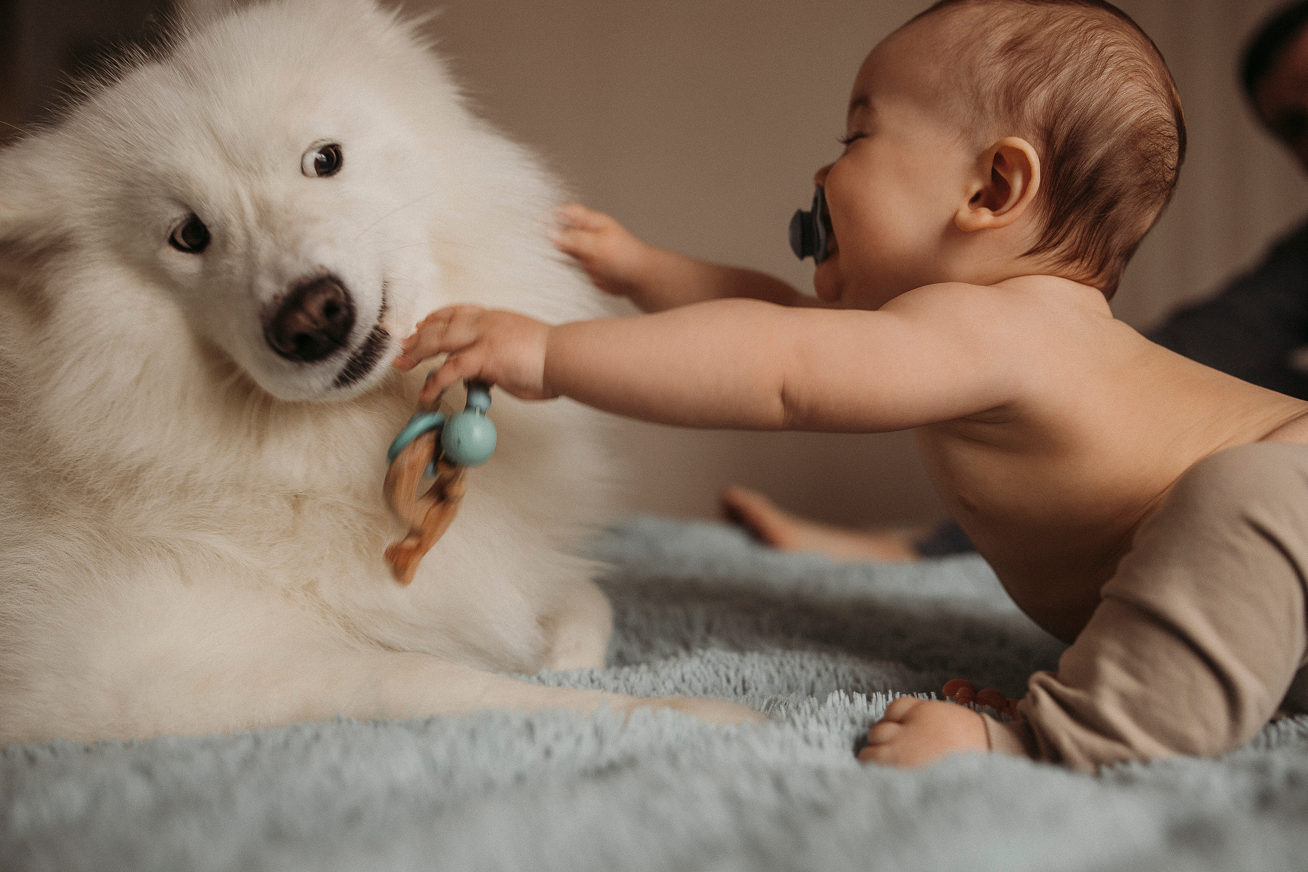 Семейная фотосессия дома. Семейный фотограф в Краснодаре Коломыцева Евгения