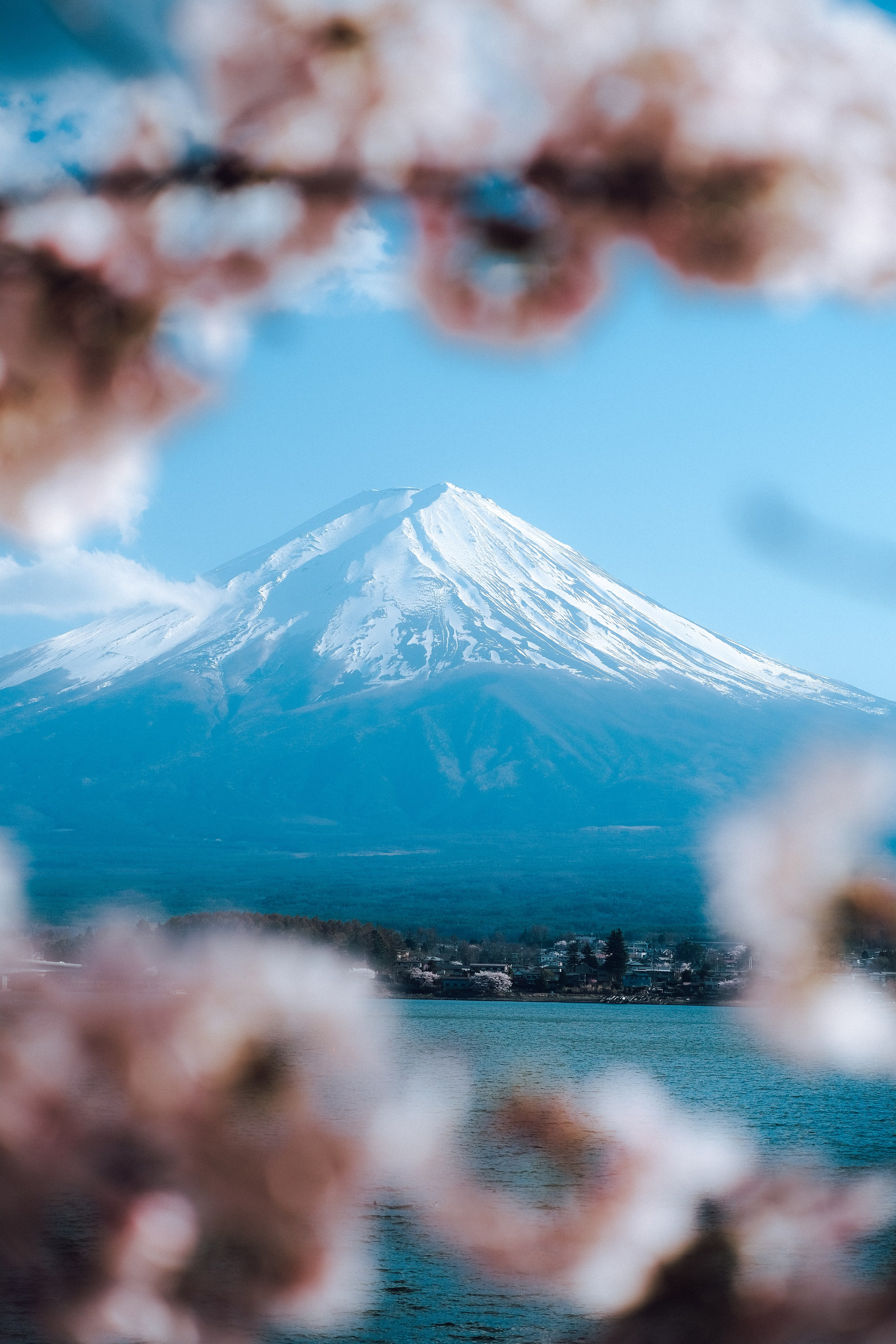 Nippon. Главная