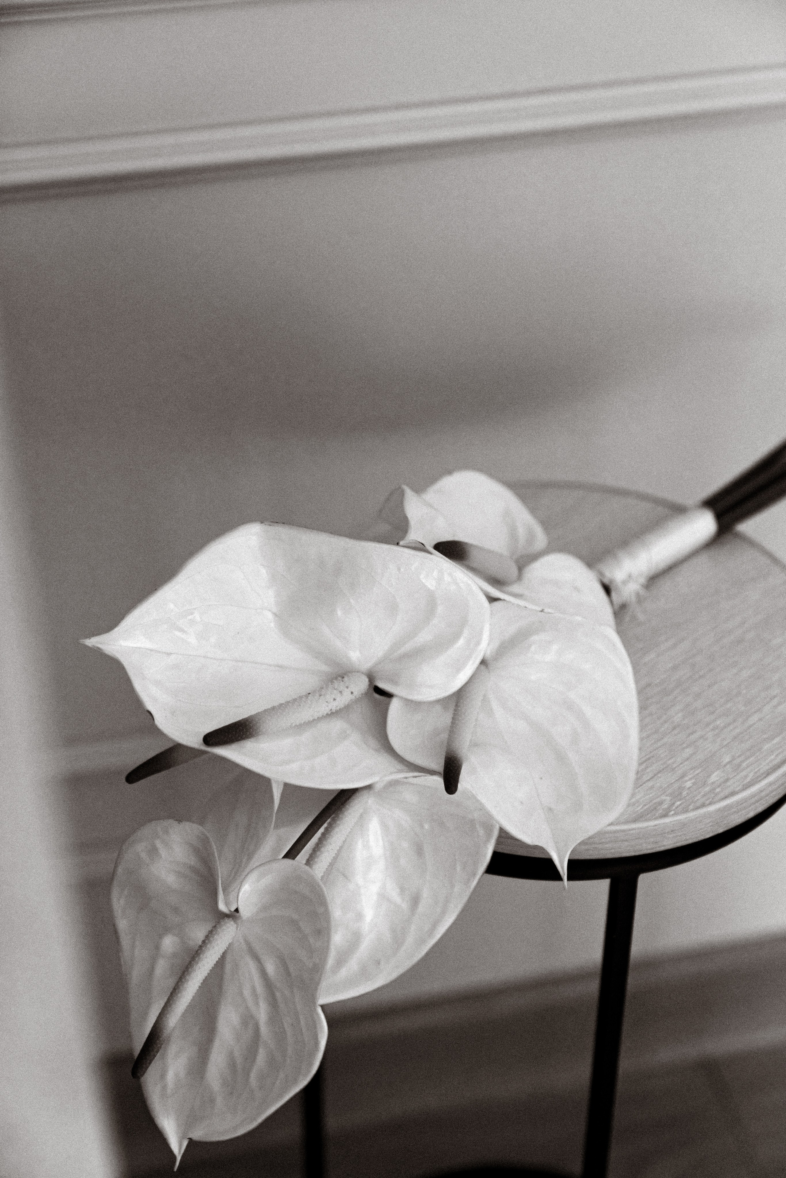 Эдуард |Эмма. Свадебный фотограф в Ростове-на-Дону Саша Филатова