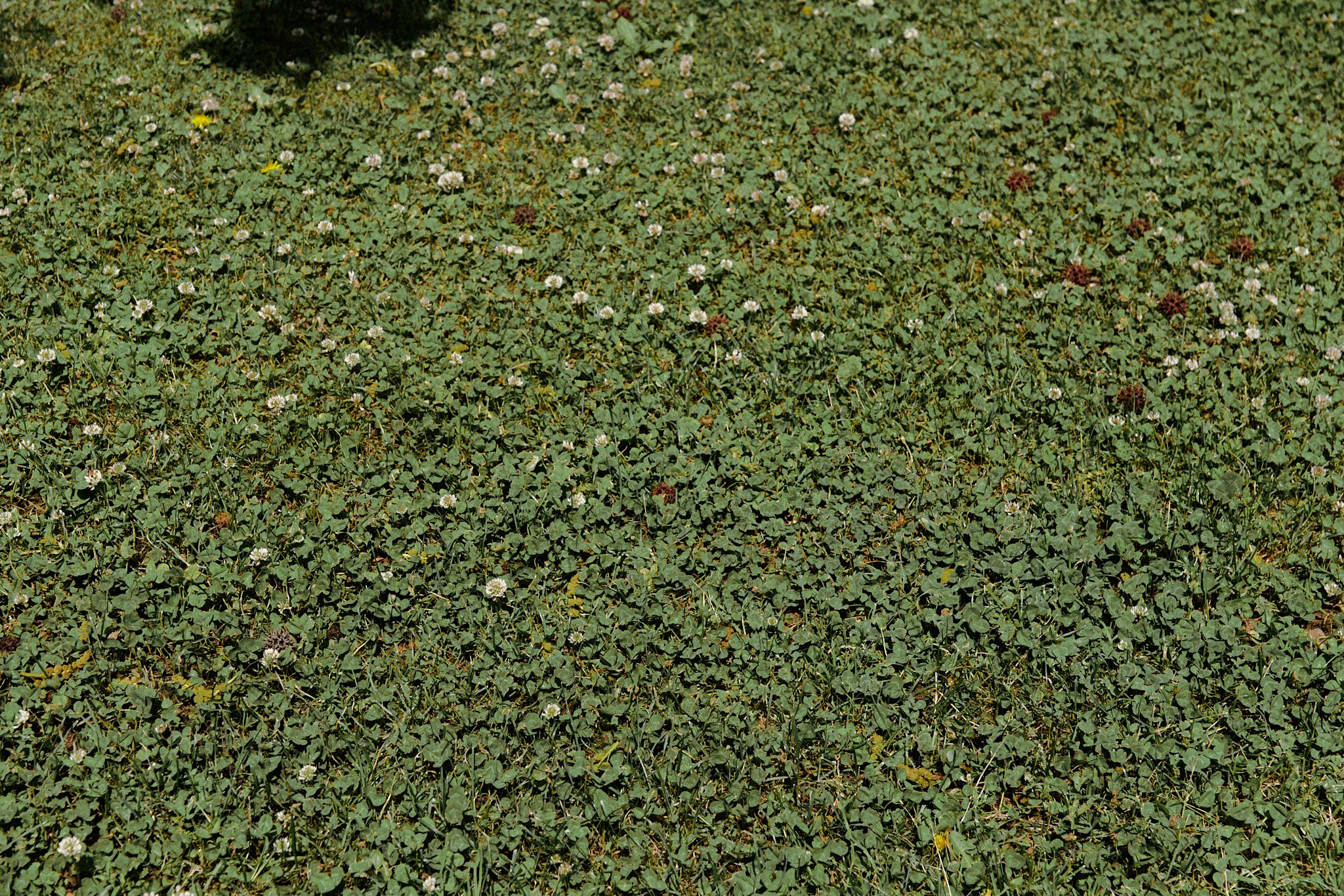 Улица горизонтальная. Jorgis — фотограф в Хургаде / обучение фотографии