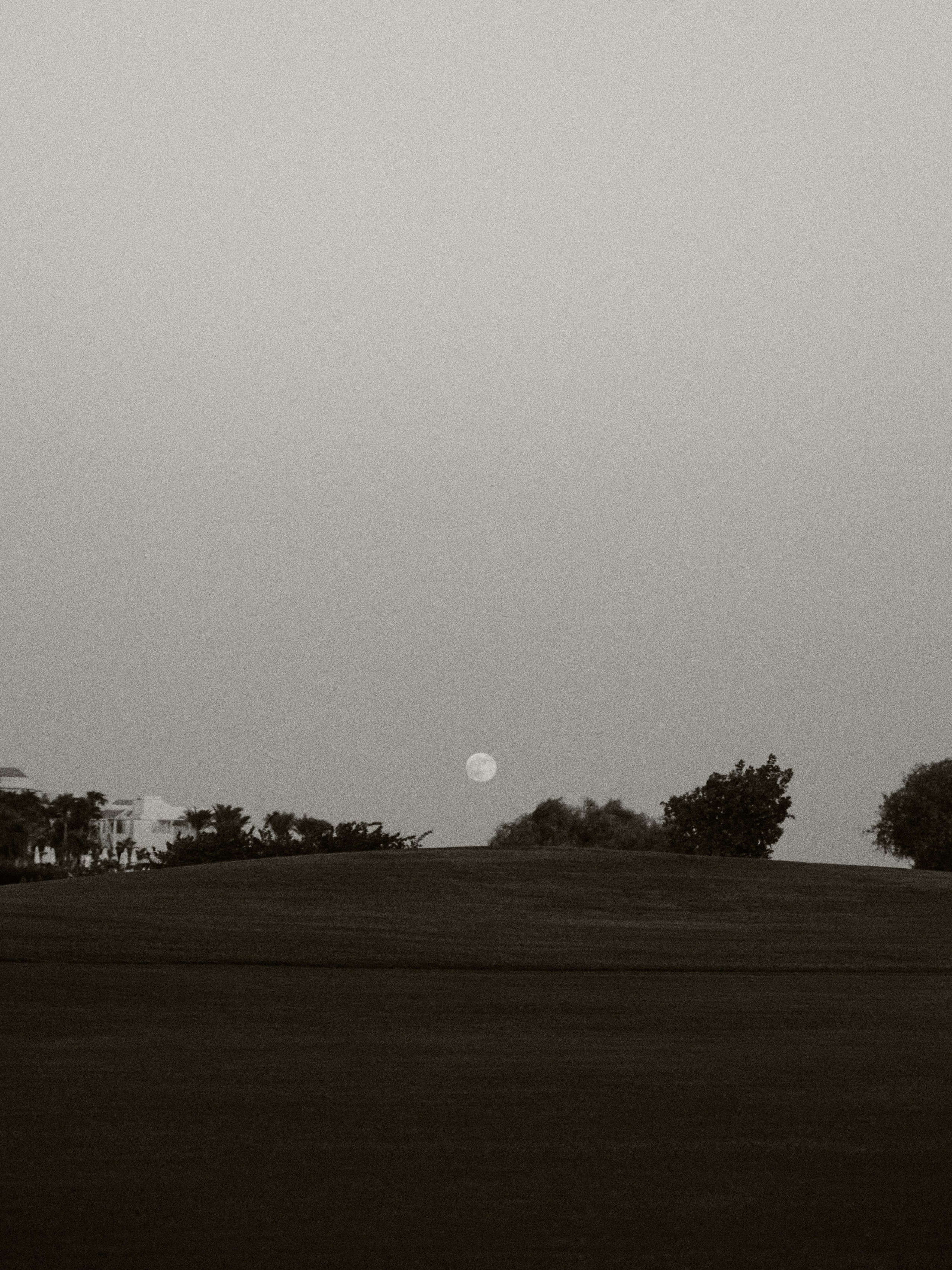 B&W. Jorgis — фотограф в Хургаде / обучение фотографии