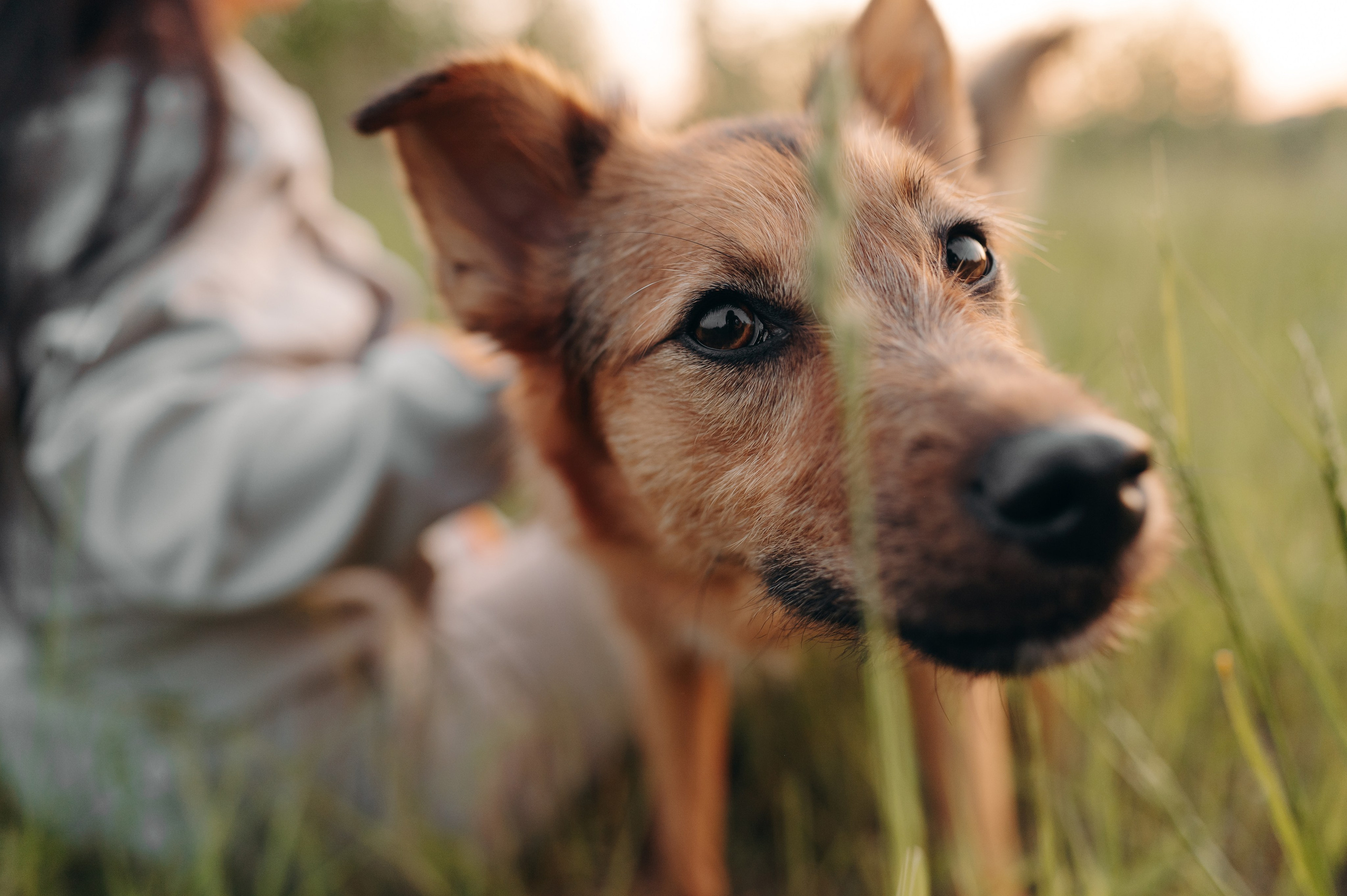 Яна и Санька. Главная