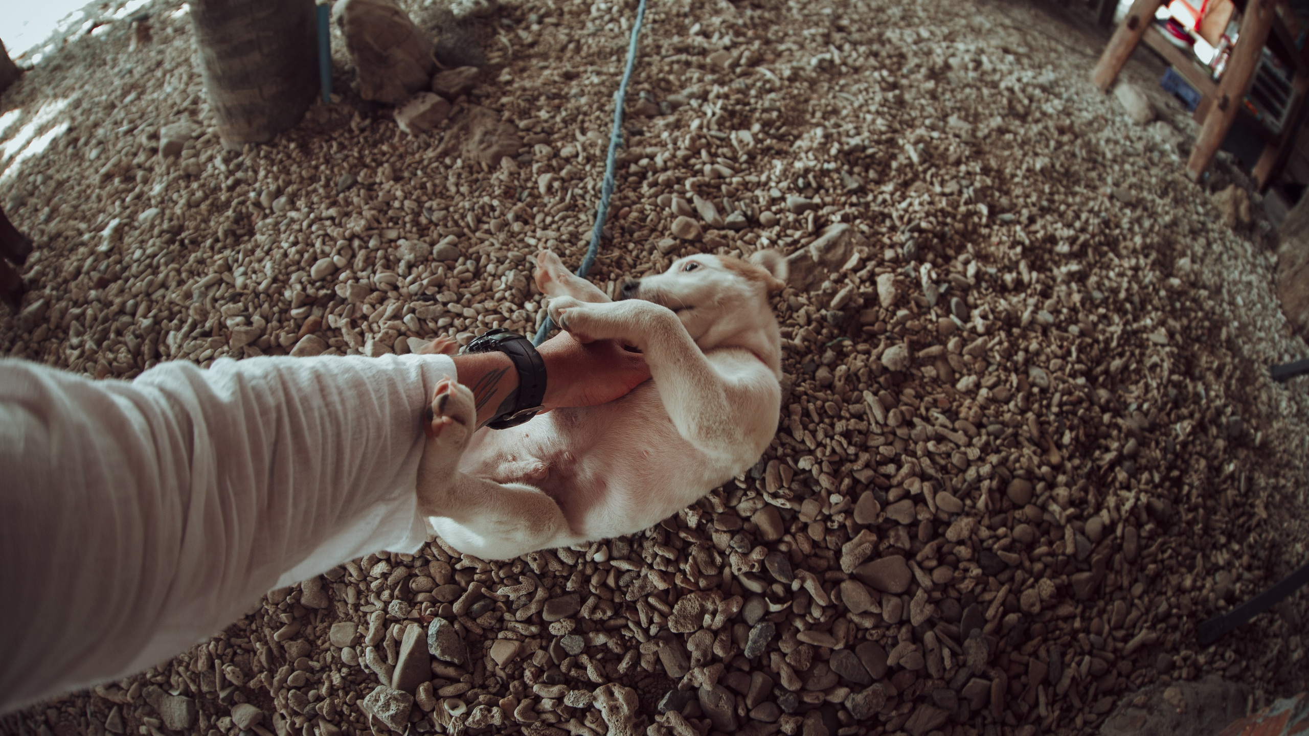 Самуи Собачий остров. Ню Фотограф Александр Касымов Москва, фотосессии, Химки фотограф