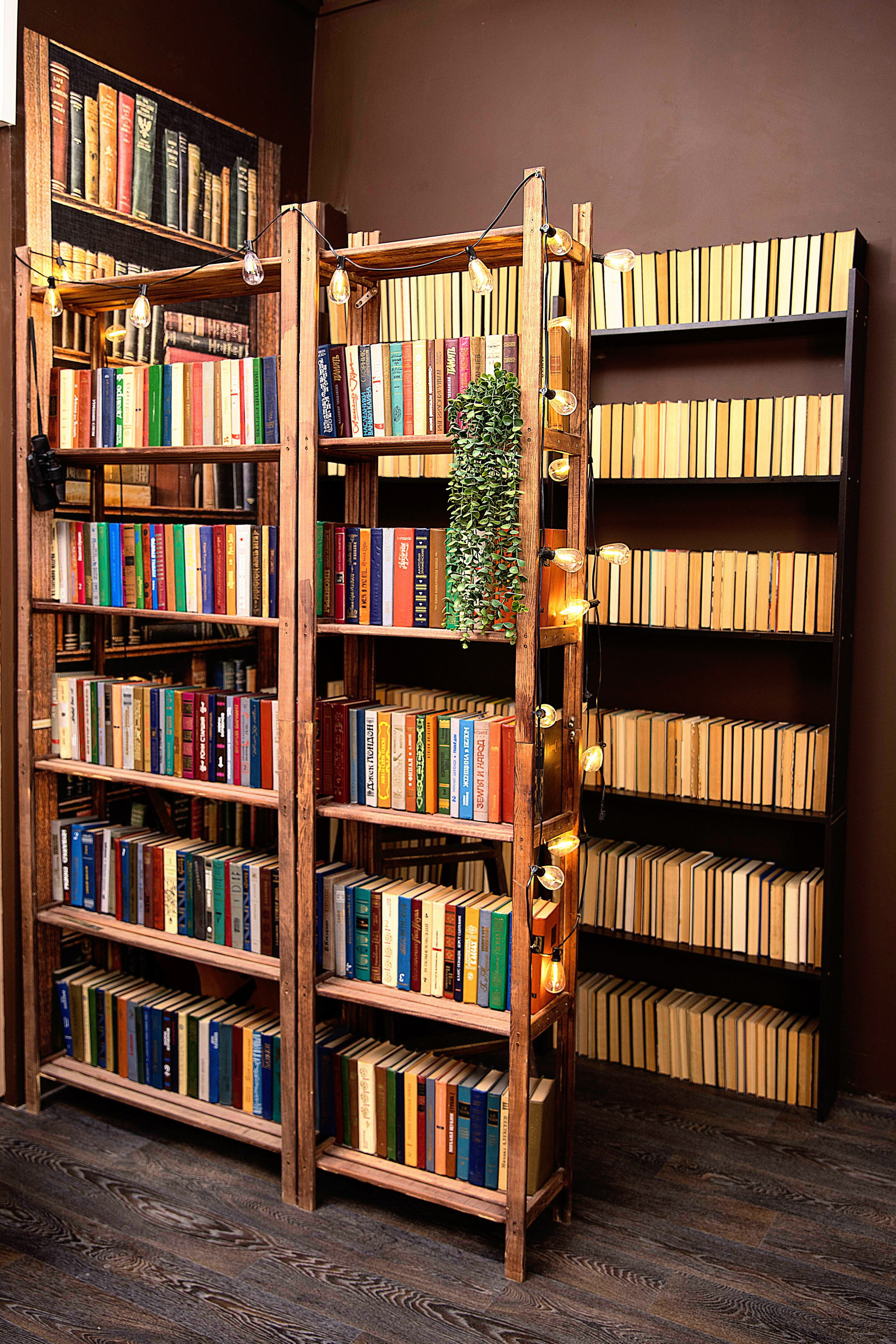 ШКОЛЬНЫЙ. Детский школьный фотограф в Кемерово Зиновьева Екатерина