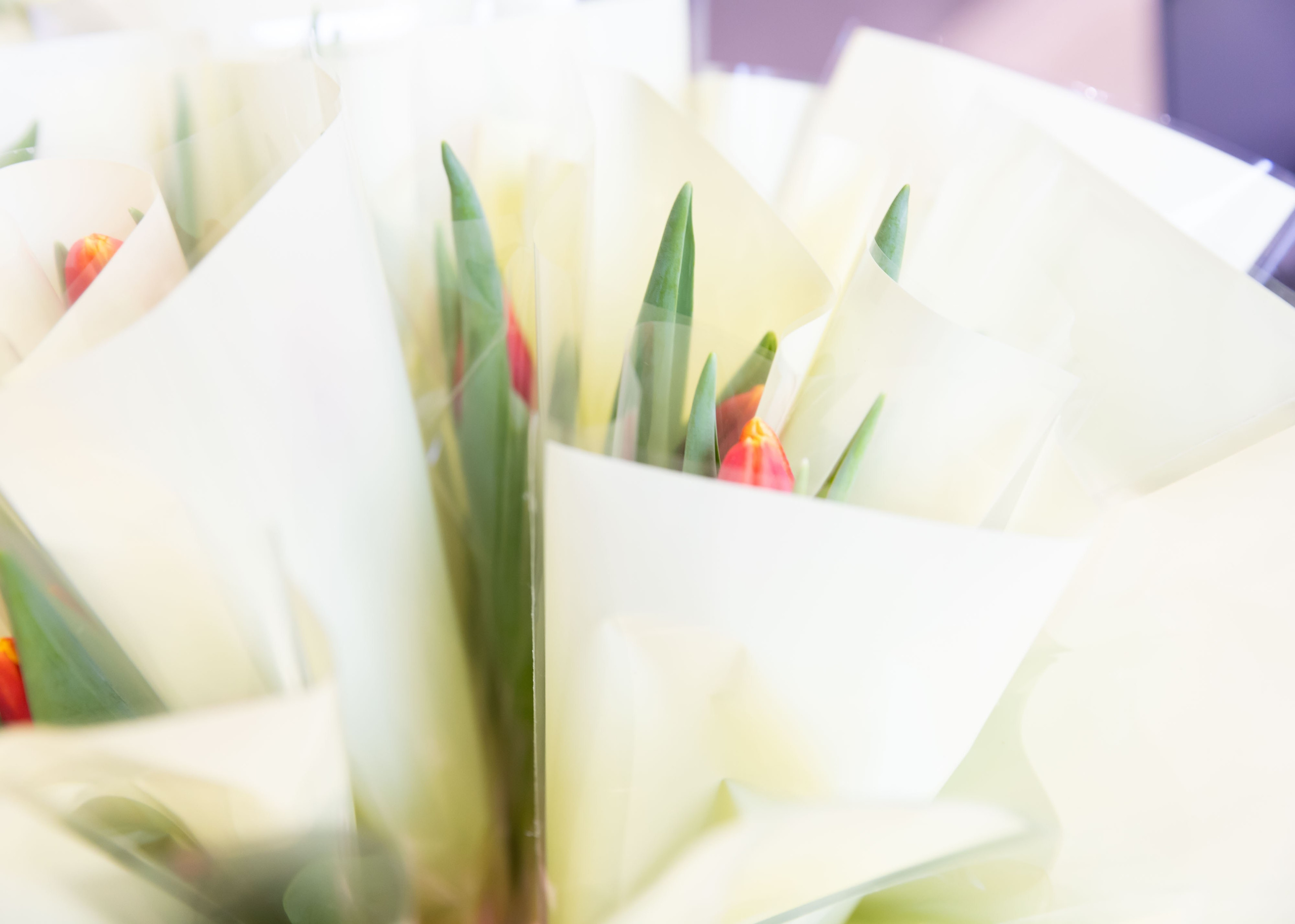 01.03.2025 Ярмарка Новатория. ФОТОГРАФ ВИНОГРАДОВА ДАРЬЯ