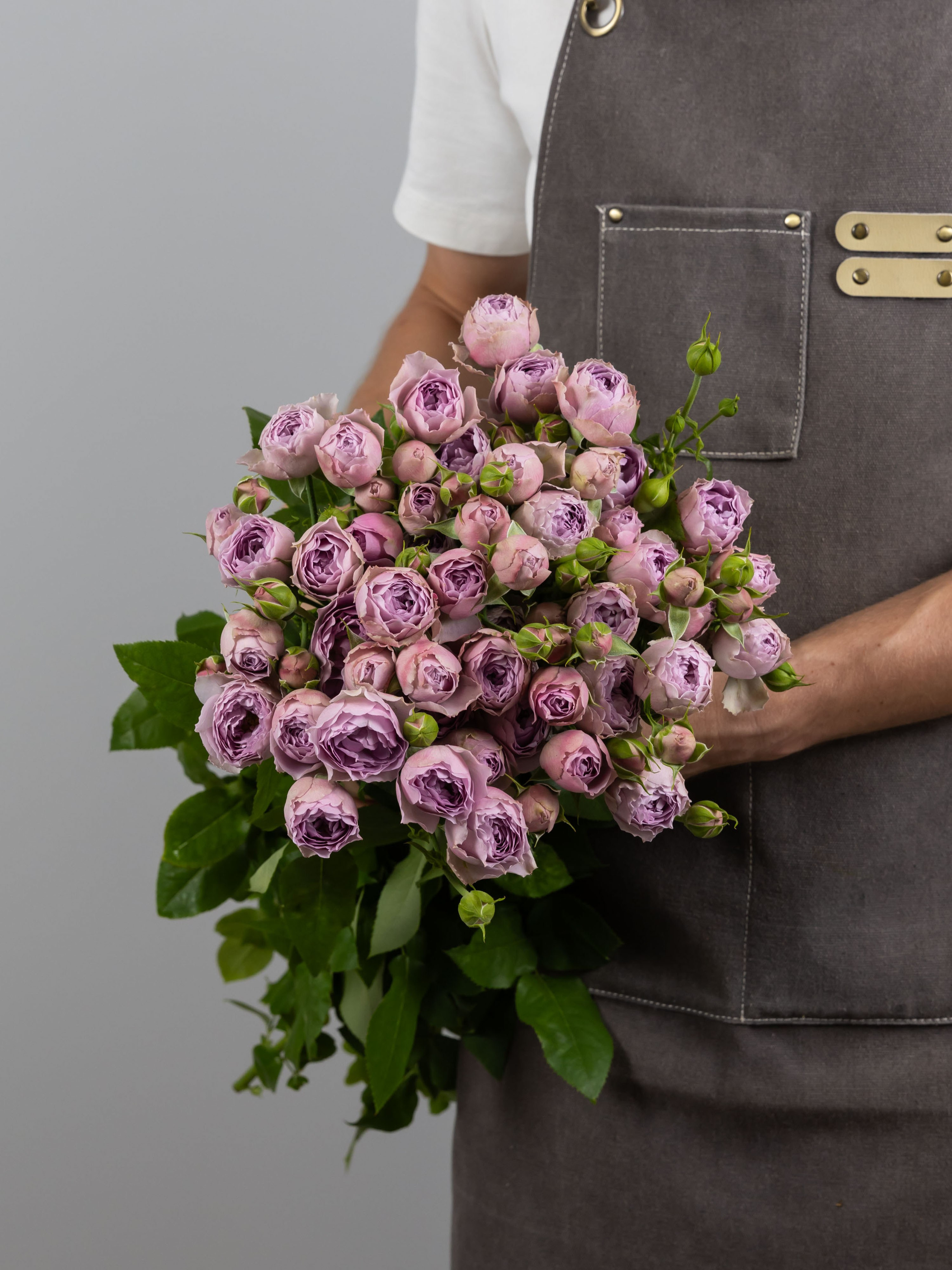 04.08.2025 Фотосессия сортов Цветополис. ФОТОГРАФ ВИНОГРАДОВА ДАРЬЯ