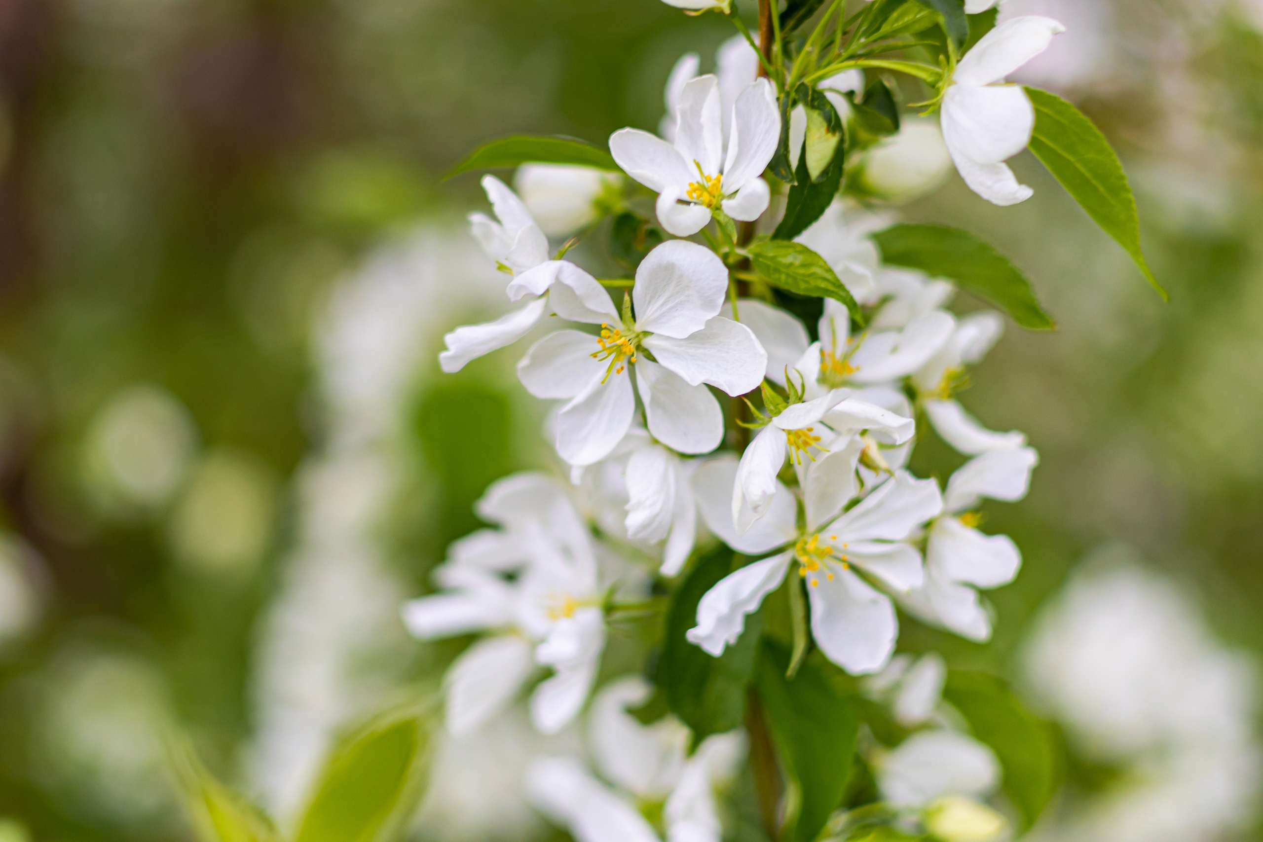 Коллекция пейзажных фотографий. Photographer Sonkina Tatiana (Tanya Ash)