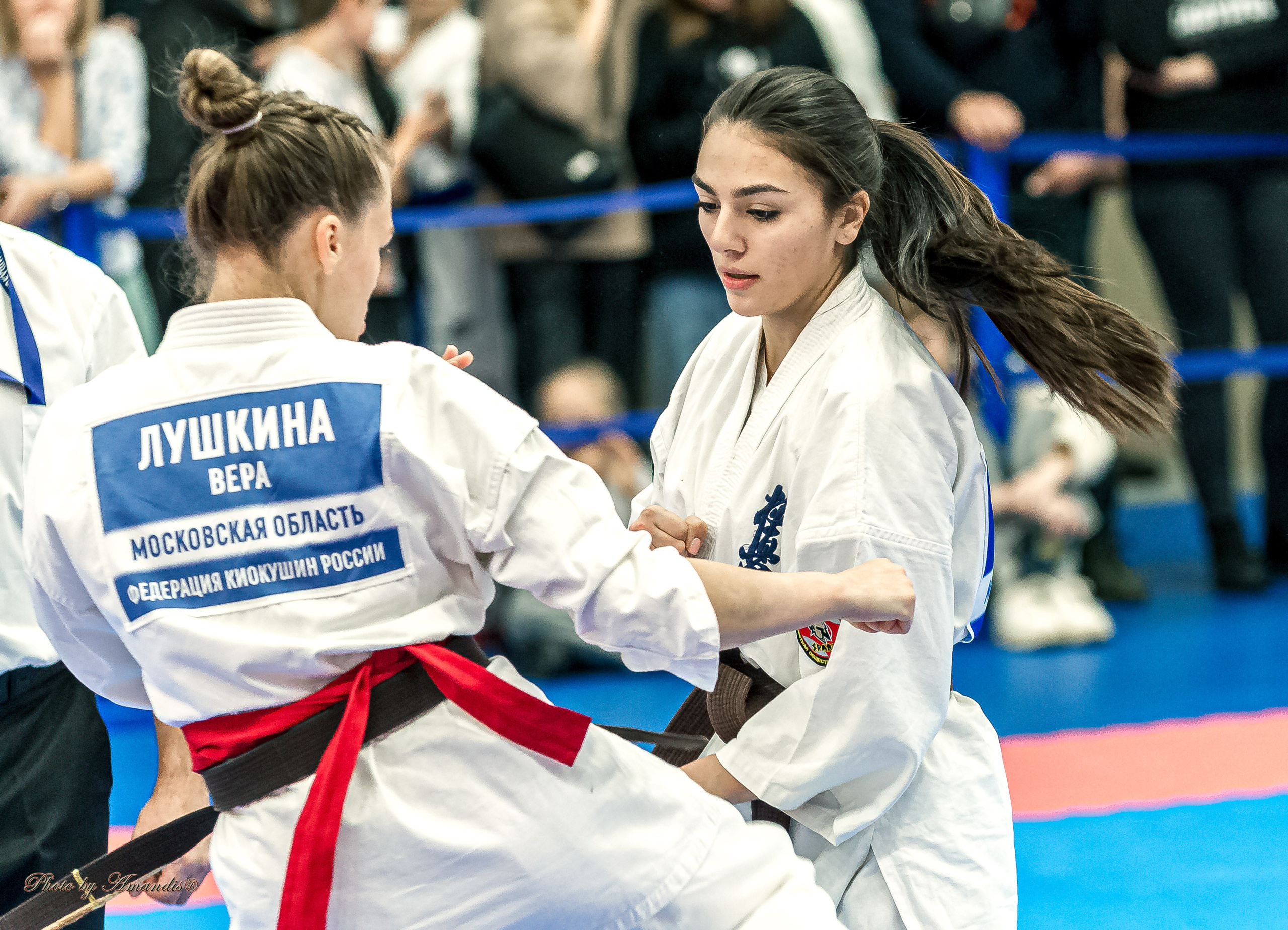 Чемпионат по Киокушинкай Центрального Федерального округа. Репортажная съемка в Москве и области. Анималистика