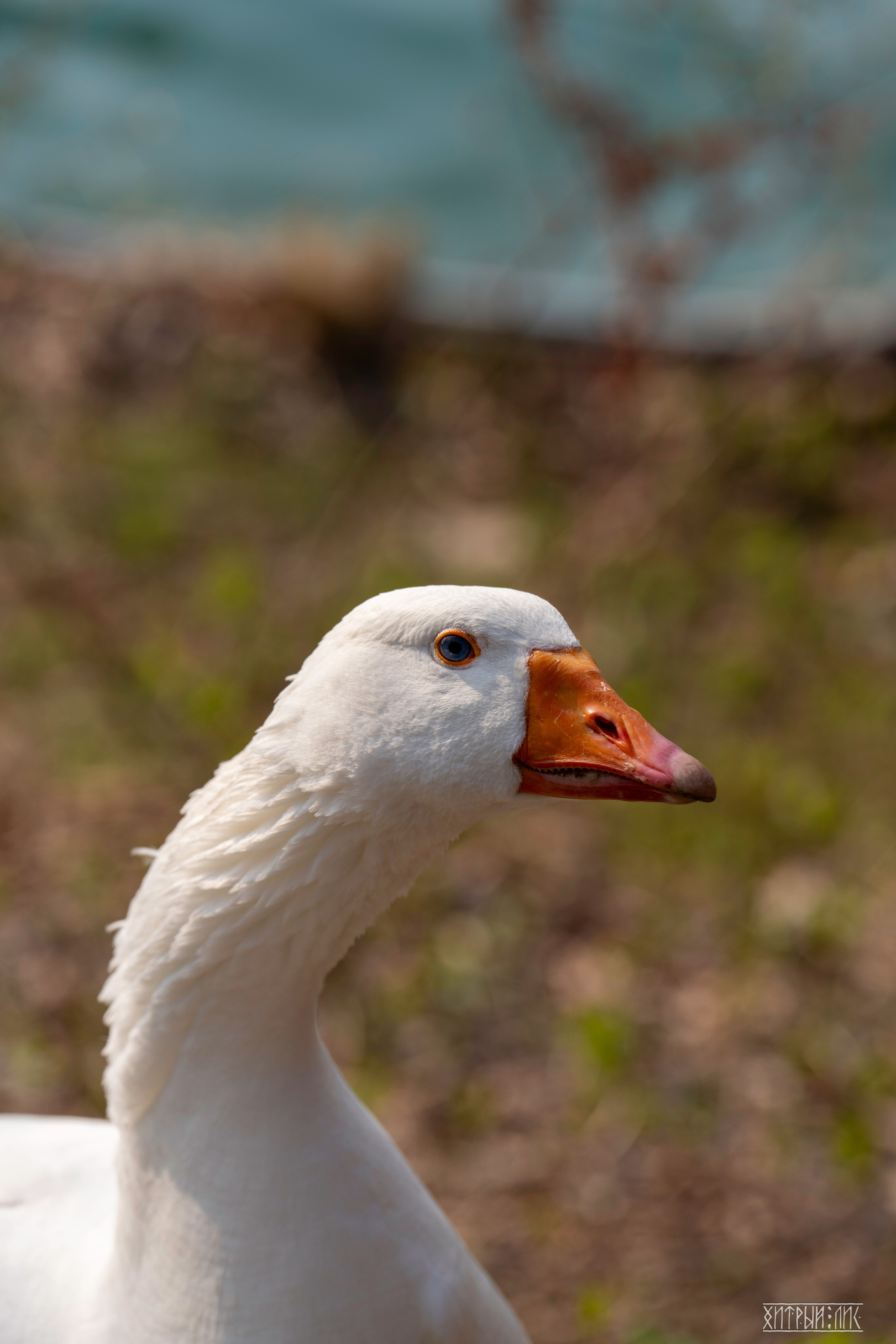 Южная Корея. Фотограф-путешественник Самойлов Максим «Sly Fox»