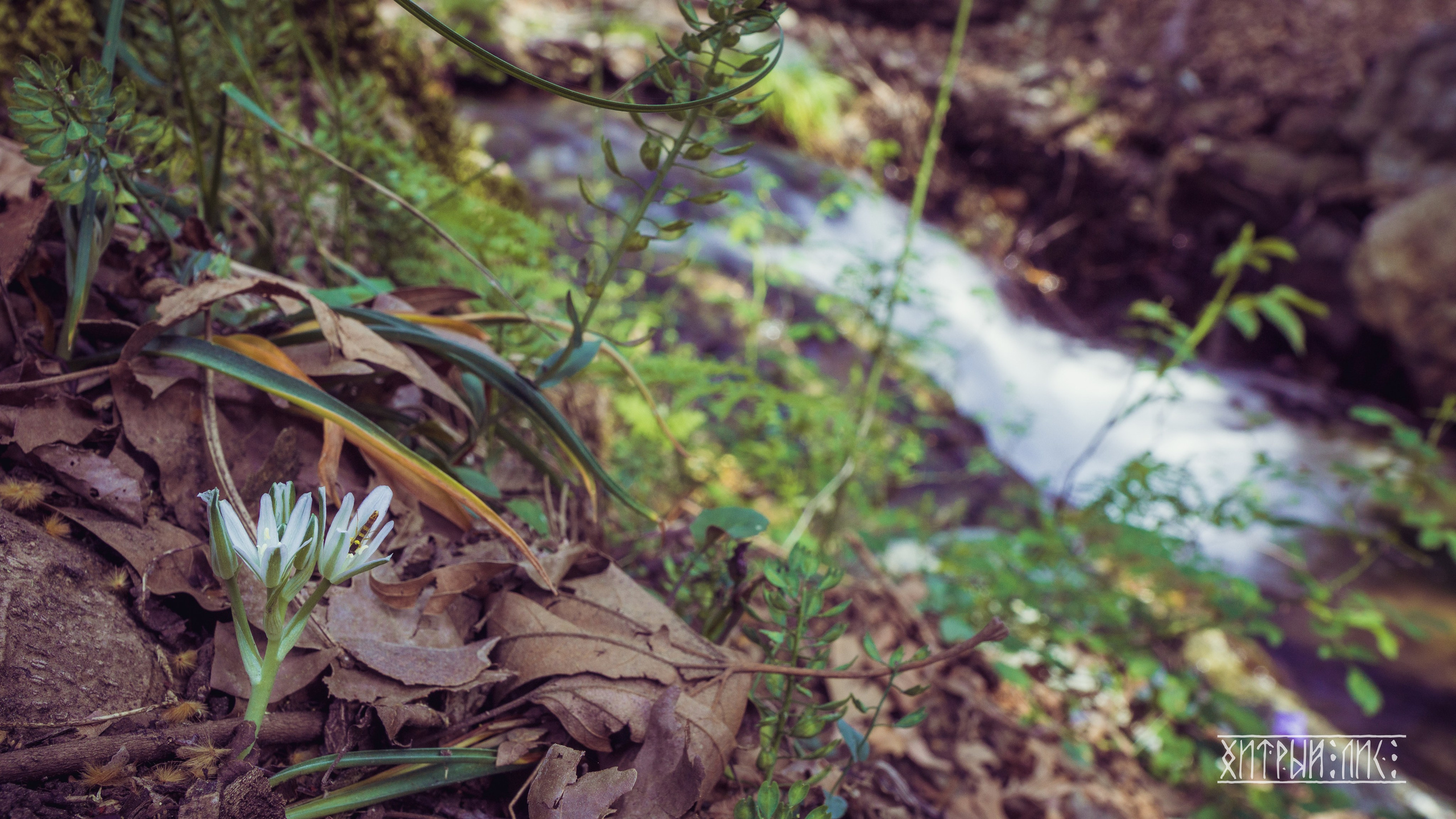 Кипр. Фотограф-путешественник Самойлов Максим «Sly Fox»