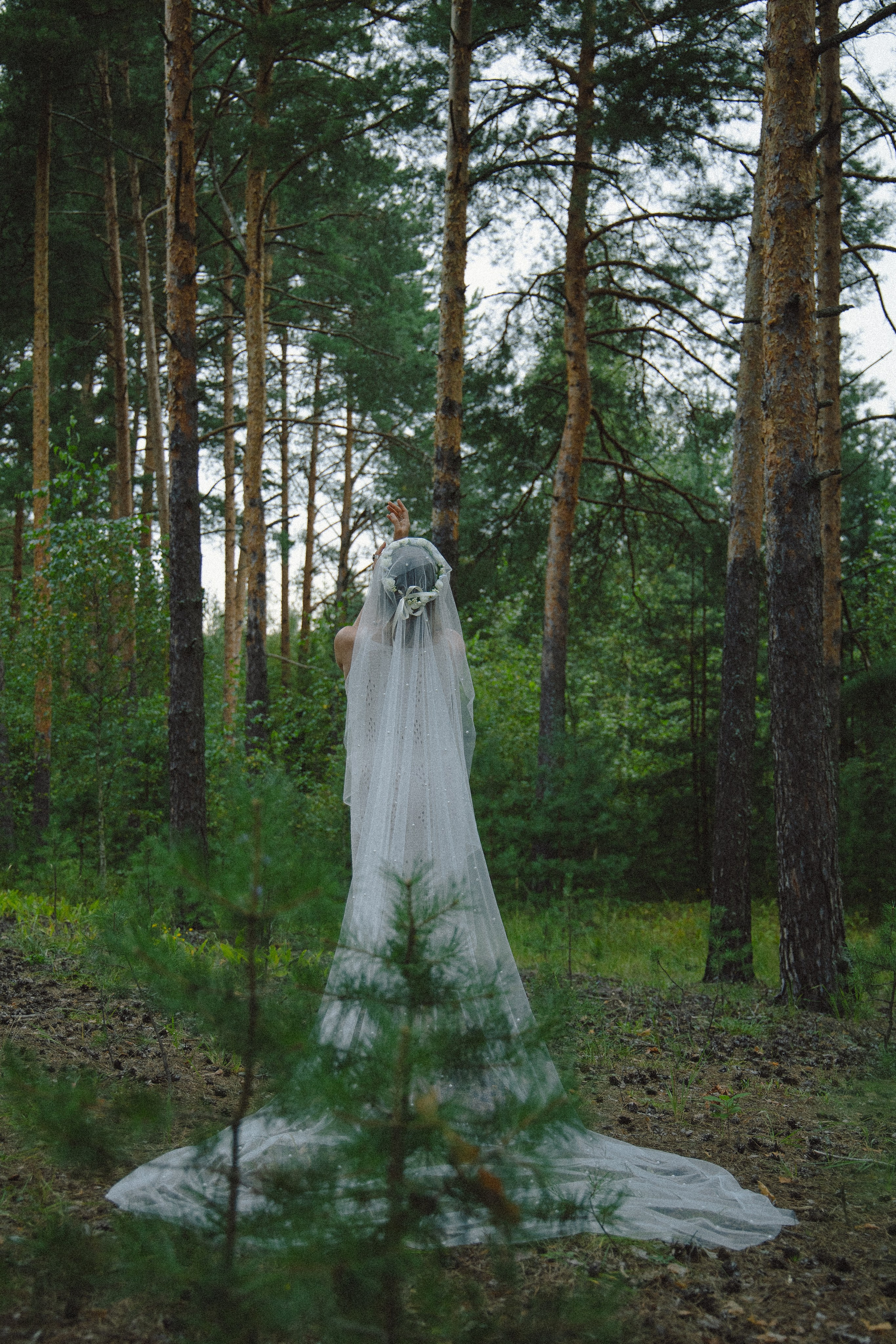 Свадебный фотограф и видеограф в Москве — анонс фото и видео с церемонии в день свадьбы