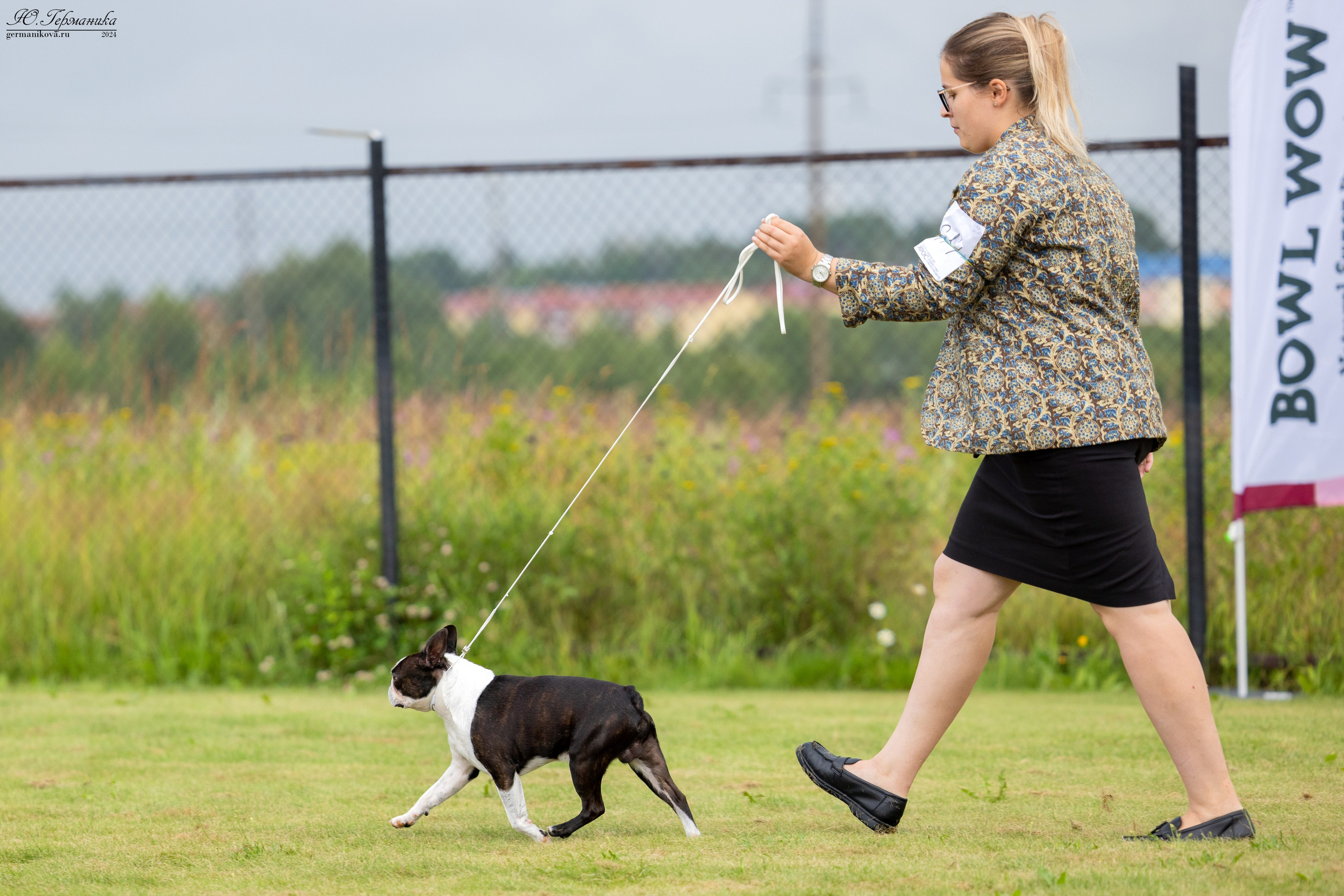 Ярославль 21.07.24 и Балашиха 13.07.24. Фотограф-анималист Юлия Германика