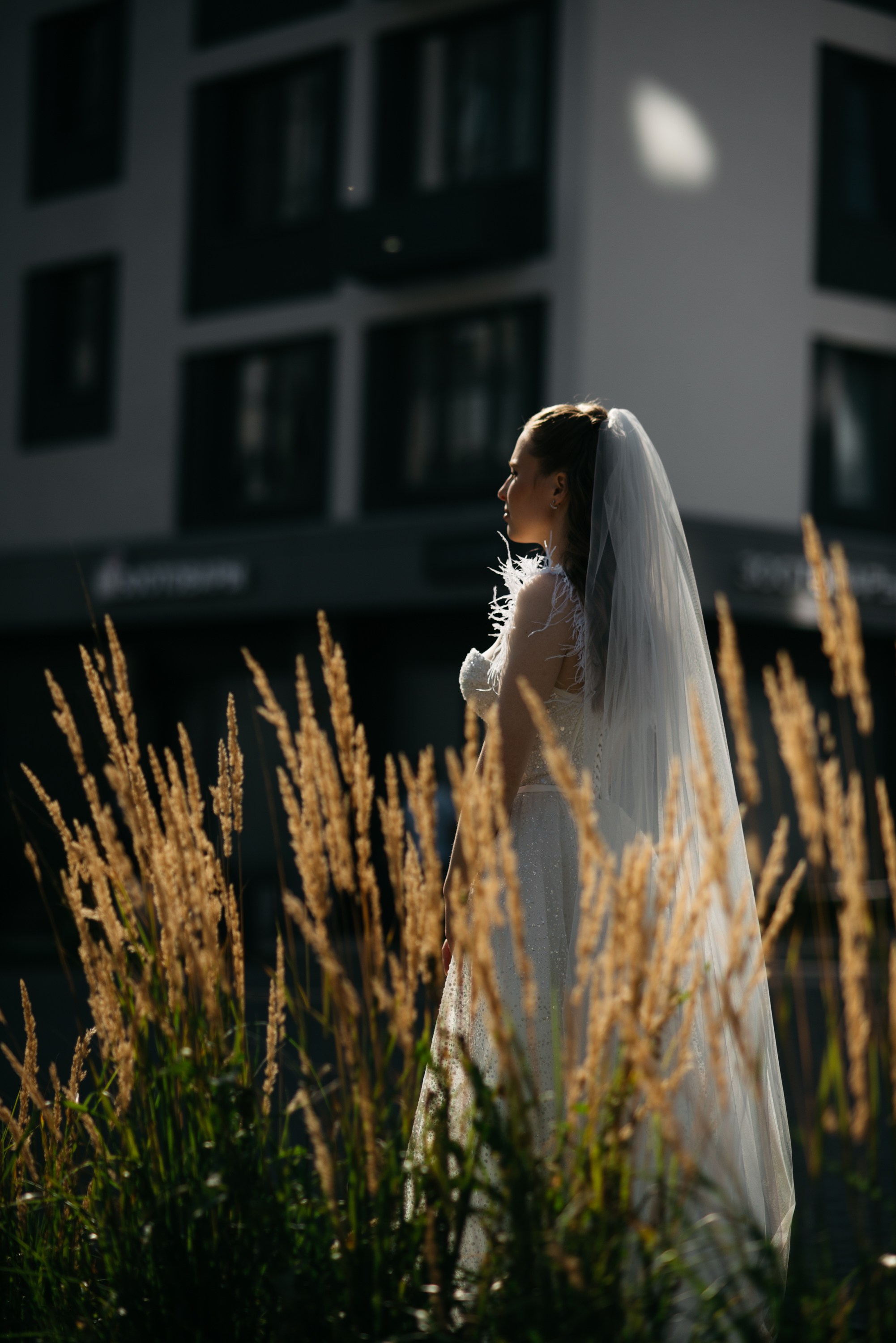 Золотая осень. Свадебный фотограф Ижевск Петр Шишков