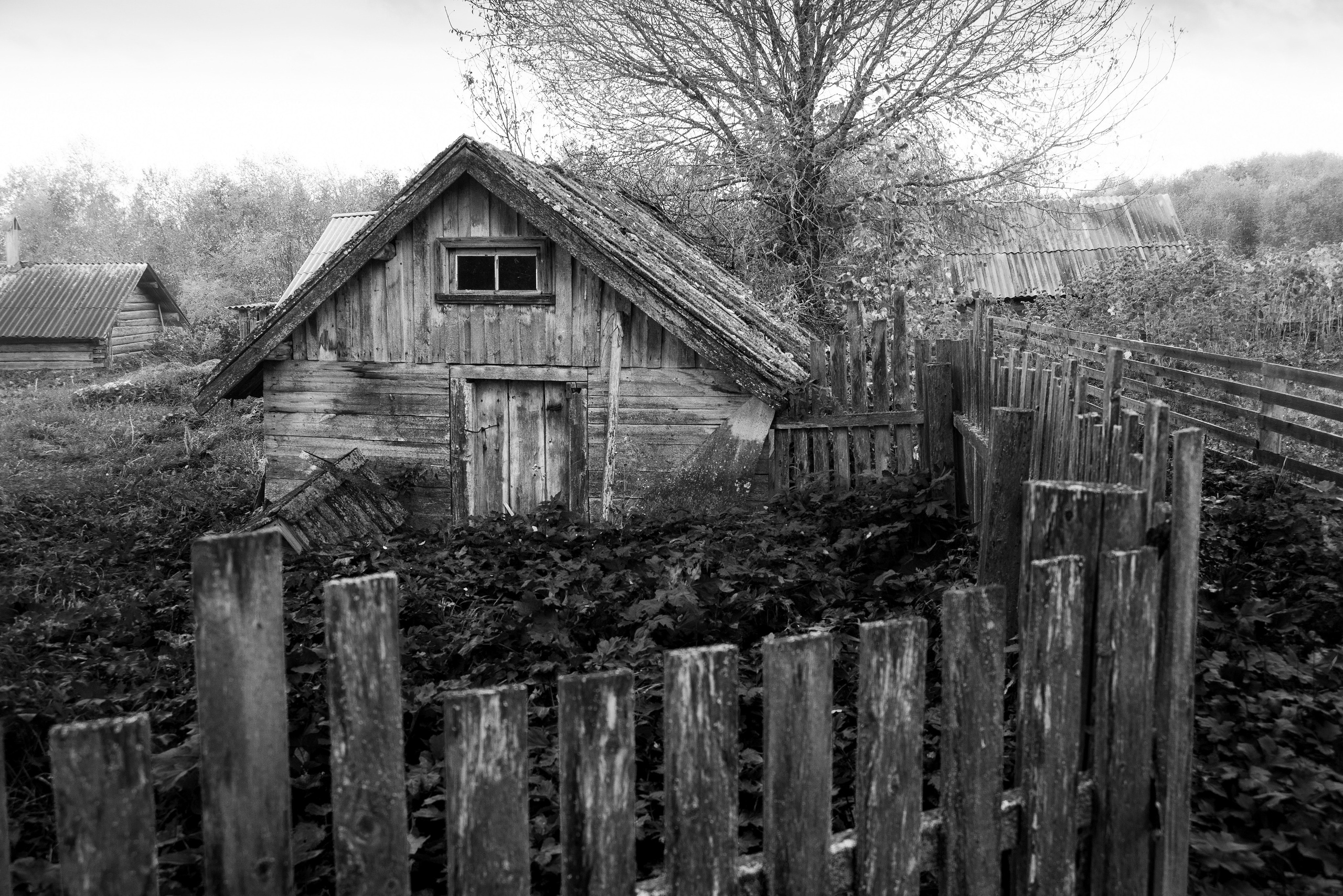 Деревня / Север I. Фотограф Антон Денисенко: Портрет, Документалистика, Пейзаж. Москва