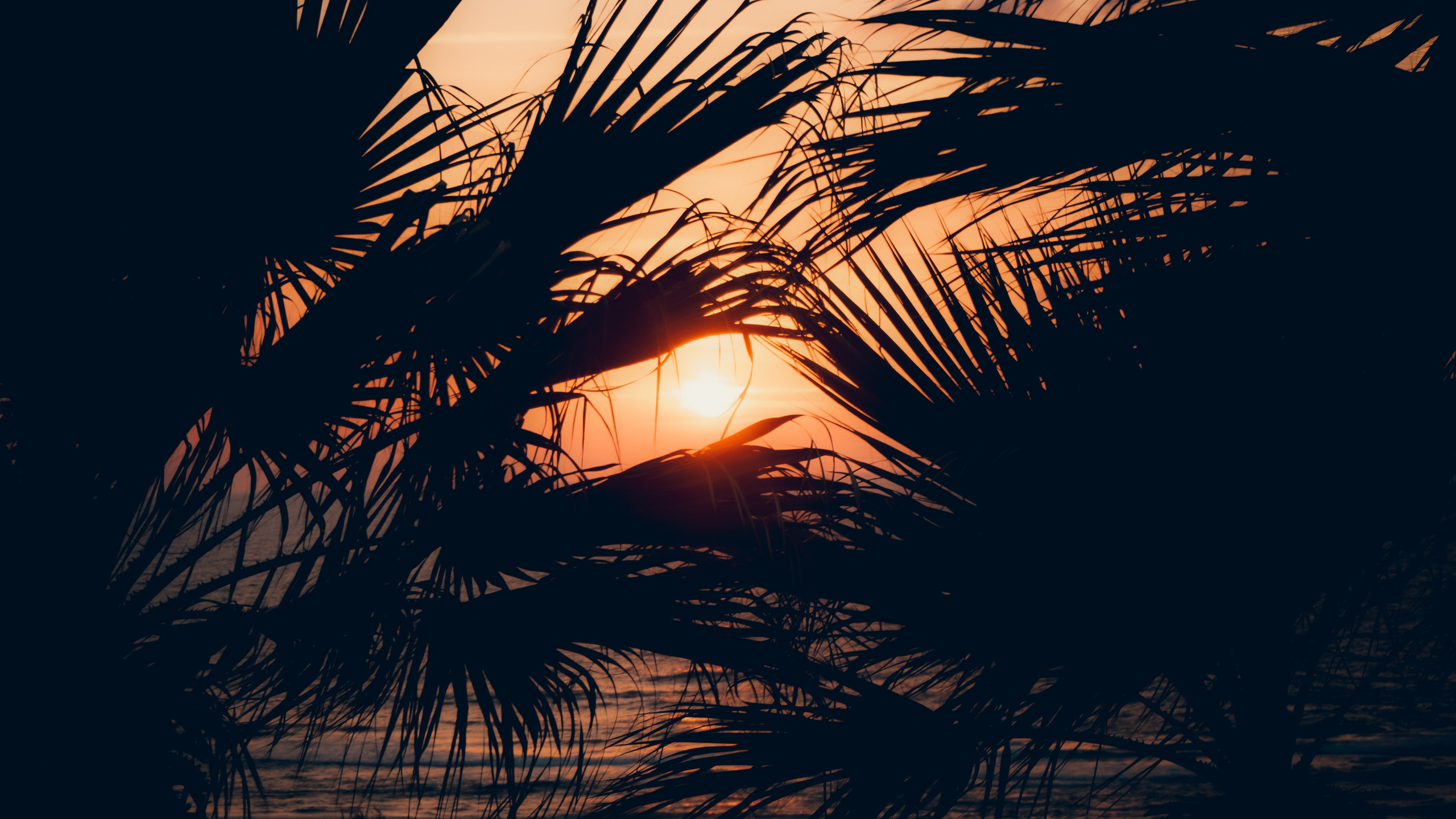 Израиль. Свадебный фотограф Копков Геннадий