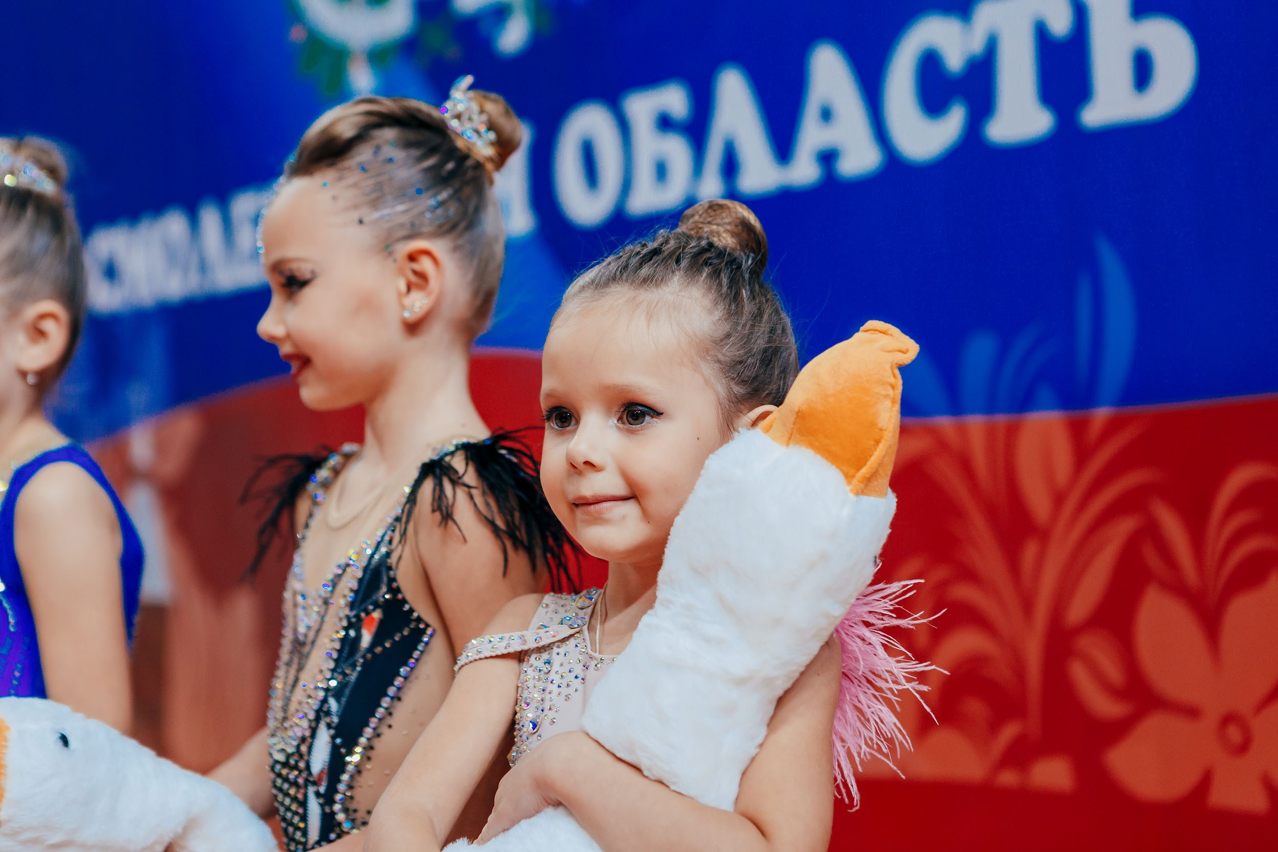 Чемпионат и Кубок Смоленской области по художественной гимнастике. Спортивный фотограф Александр Васильев. RG и AGG