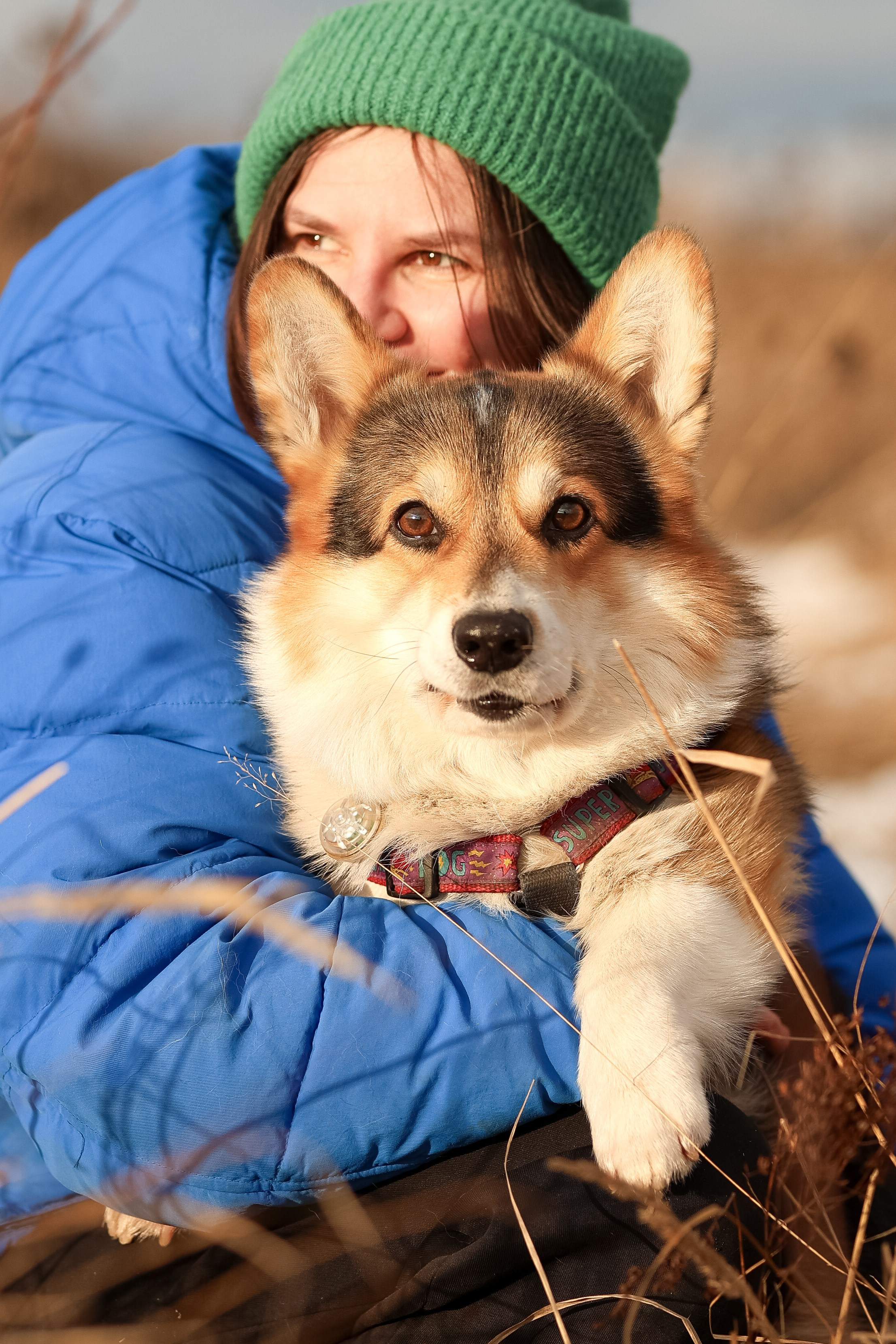 Трой, Балу и Катя. Фотограф-анималист в Москве Кириллова Татьяна