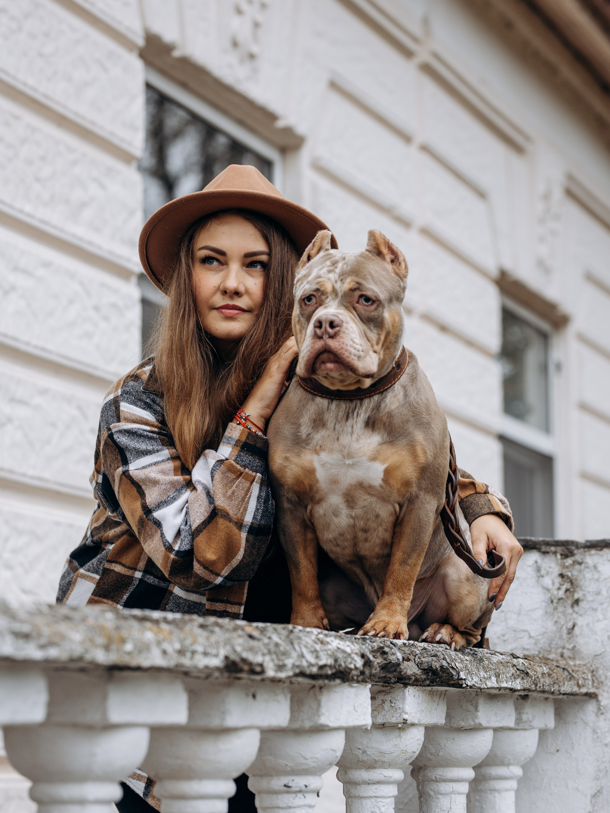 Скай, Марти и Катя. Фотограф-анималист в Москве Кириллова Татьяна