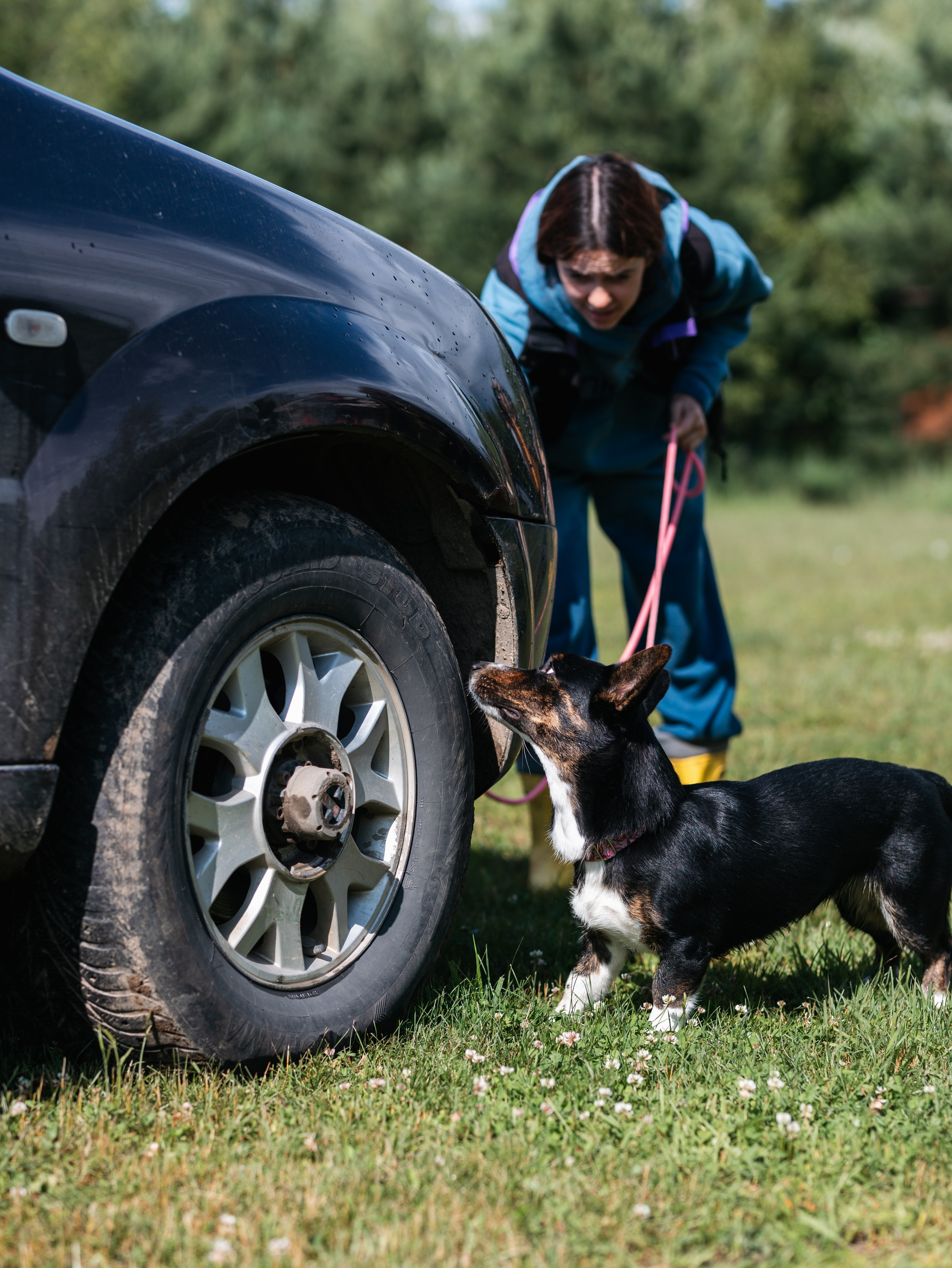 Лагерь ноузворк. Фотограф-анималист в Москве Кириллова Татьяна