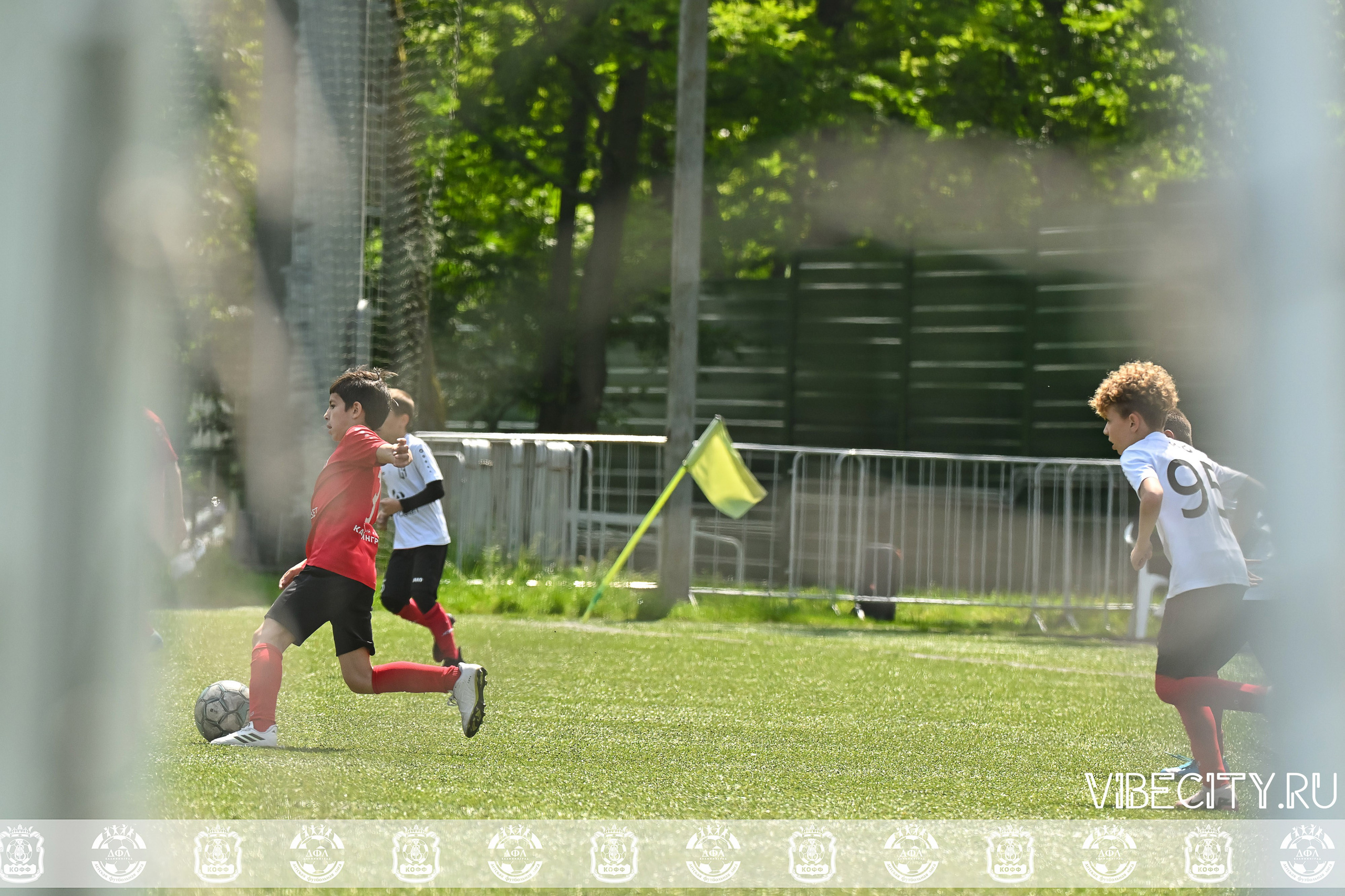 Большие Звезды светят Малым. VIBECITY.RU Вайб Сити Ру Фоторепортажи Фотоотчеты Калининград