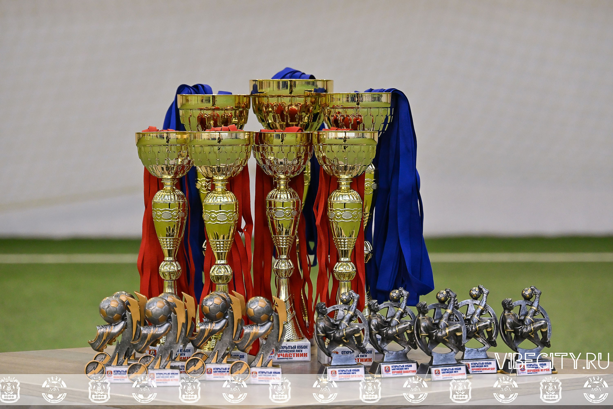 КУБОК БАЛТИЙСКОЙ ЛИГИ U6. VIBECITY.RU Вайб Сити Ру Фоторепортажи Фотоотчеты Калининград