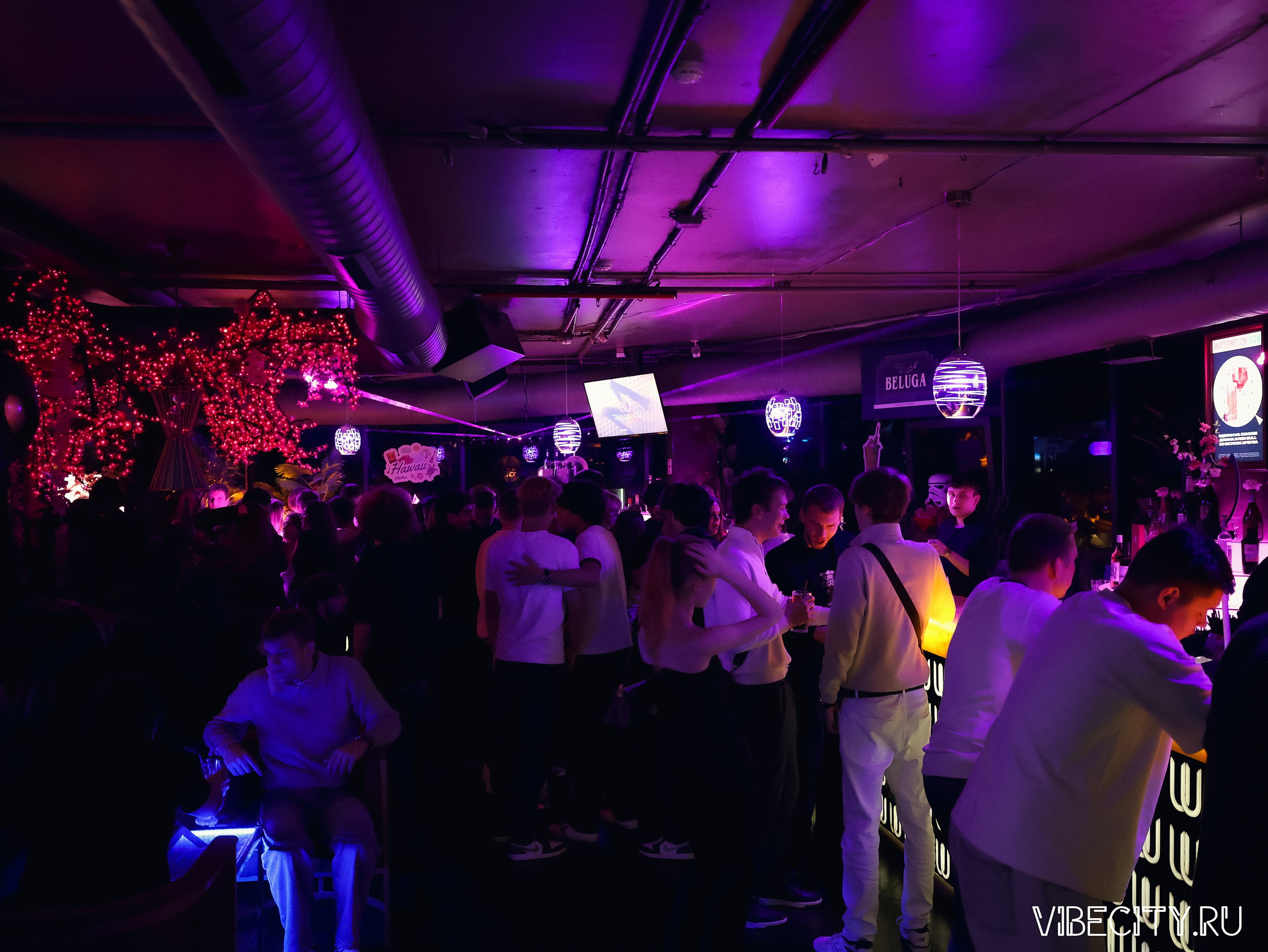 DOUBLE U. VIBECITY.RU Вайб Сити Ру Фоторепортажи Фотоотчеты Калининград