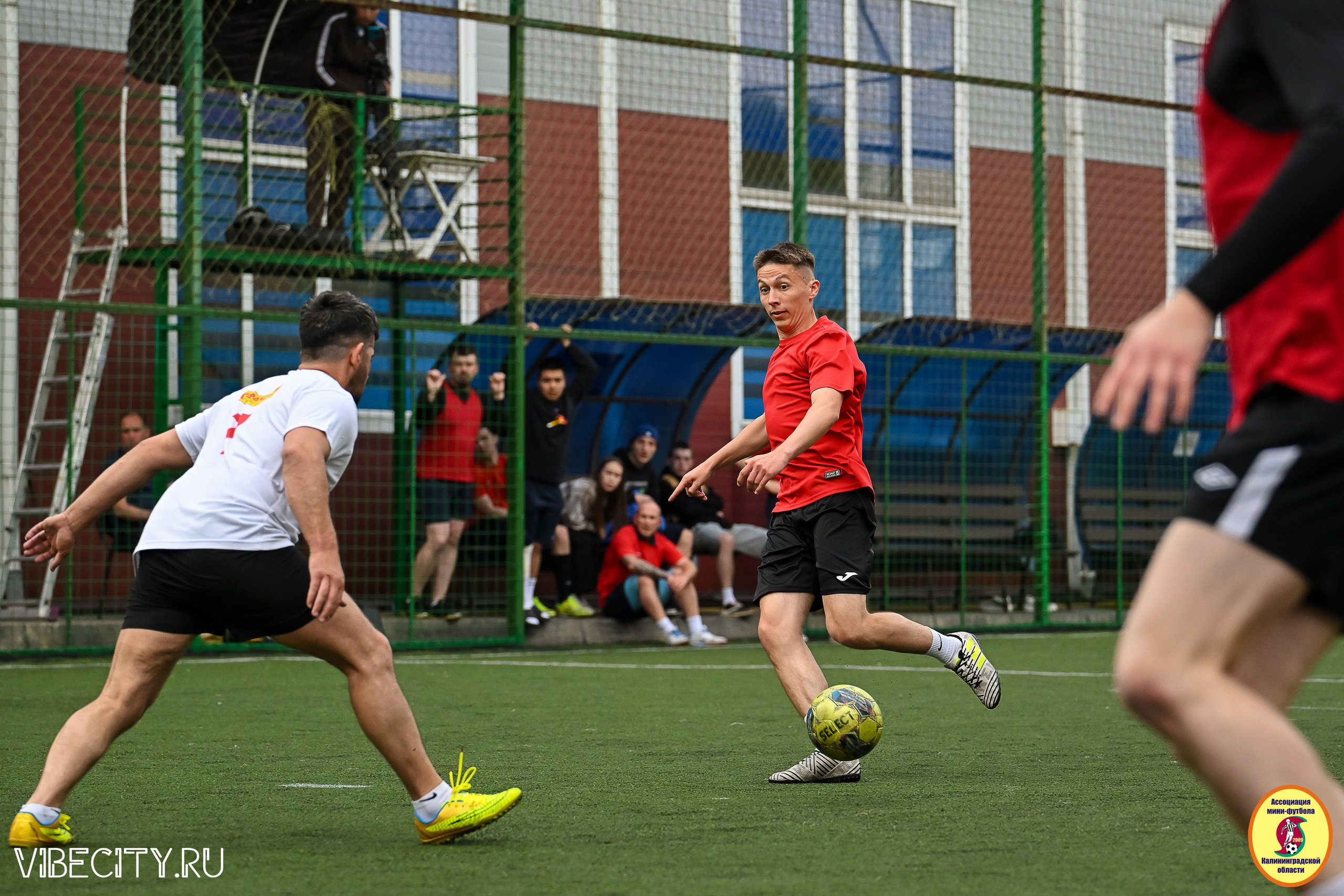 ИГРЫ МИНИ-ФУТБОЛЬНОЙ И КОРПОРАТИВНОЙ ЛИГИ. VIBECITY.RU Вайб Сити Ру Фоторепортажи Фотоотчеты Калининград