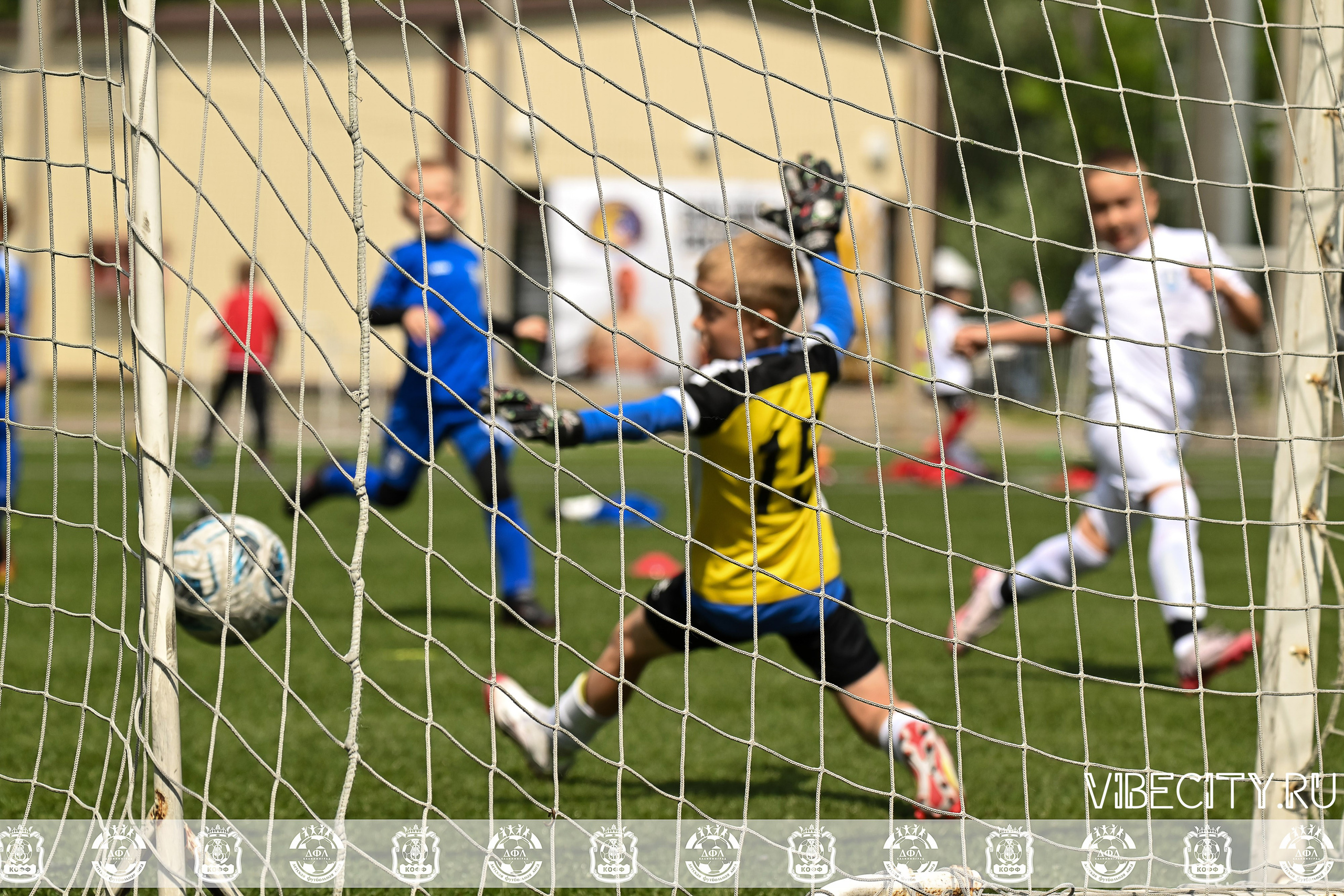 Большие Звезды светят Малым. VIBECITY.RU Вайб Сити Ру Фоторепортажи Фотоотчеты Калининград